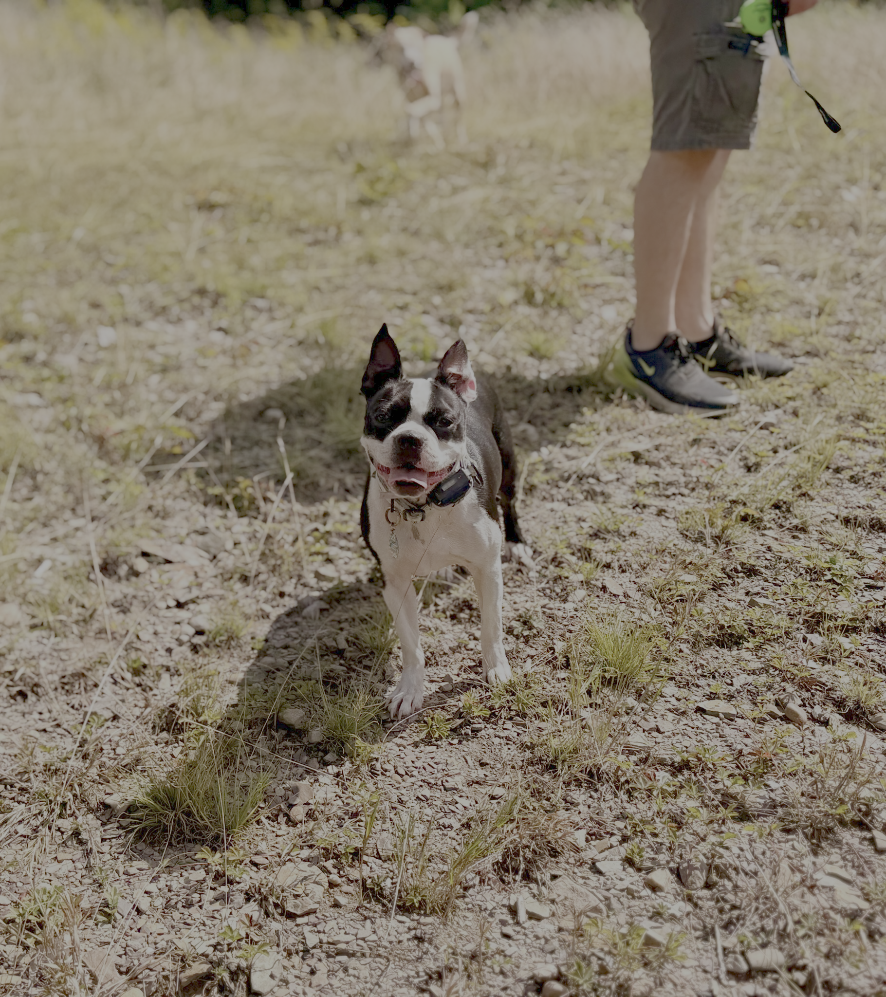 6CA01433-4AA7-4131-AB77-60CD904A387DIMG_6699.JPG.png
