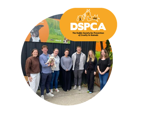 Helping Ireland's leading animal welfare charity plan for the Future