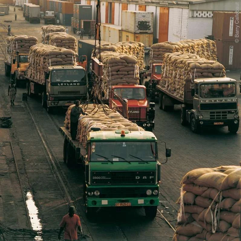 Several trucks loaded with large bundles of sacks, possibly agricultural produce, at a busy warehouse or port area surrounded by shipping containers.