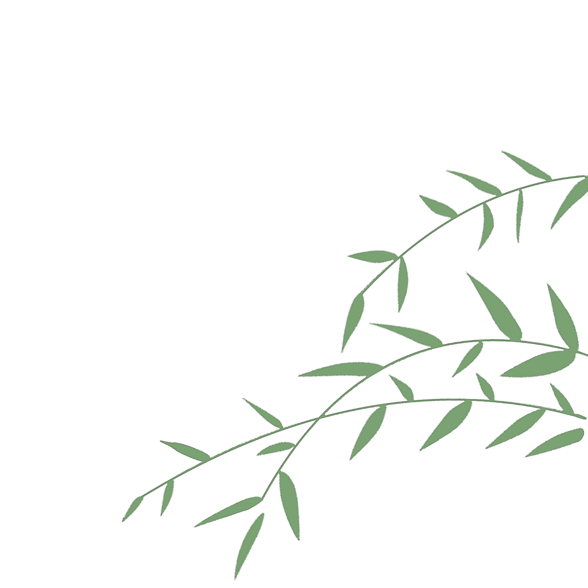 Illustration of a sprig of bamboo with green leaves.