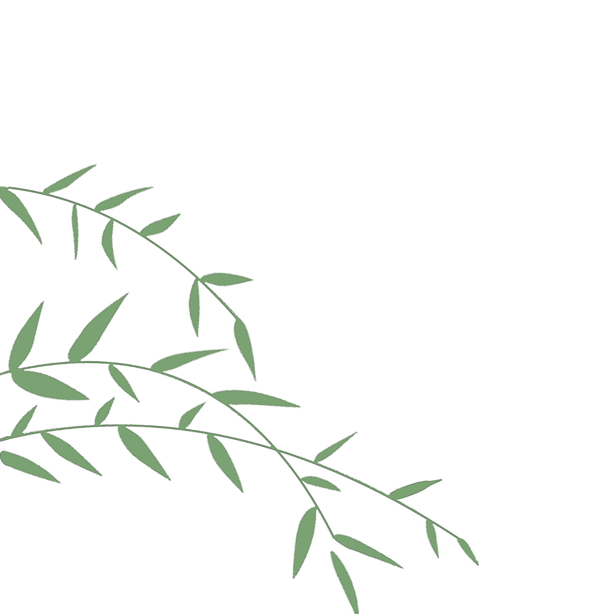 A digital illustration of a bamboo branch with green leaves in the bottom left corner and a black and yellow striped rectangle along the bottom edge. There are lines or streaks in the background of the image.