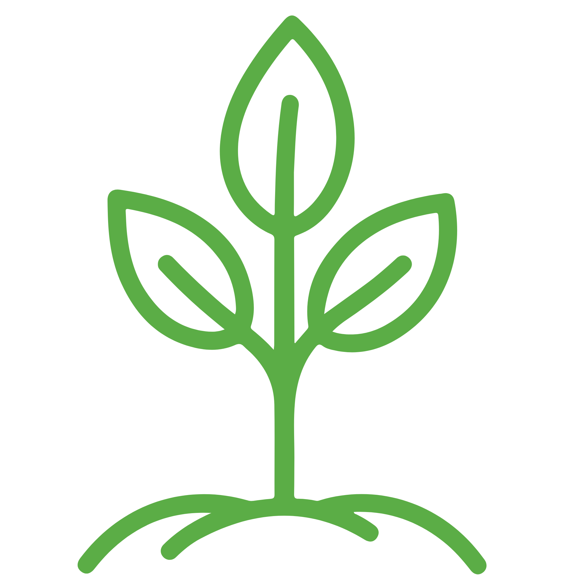 Green outline of a plant with three large leaves and a stem.
