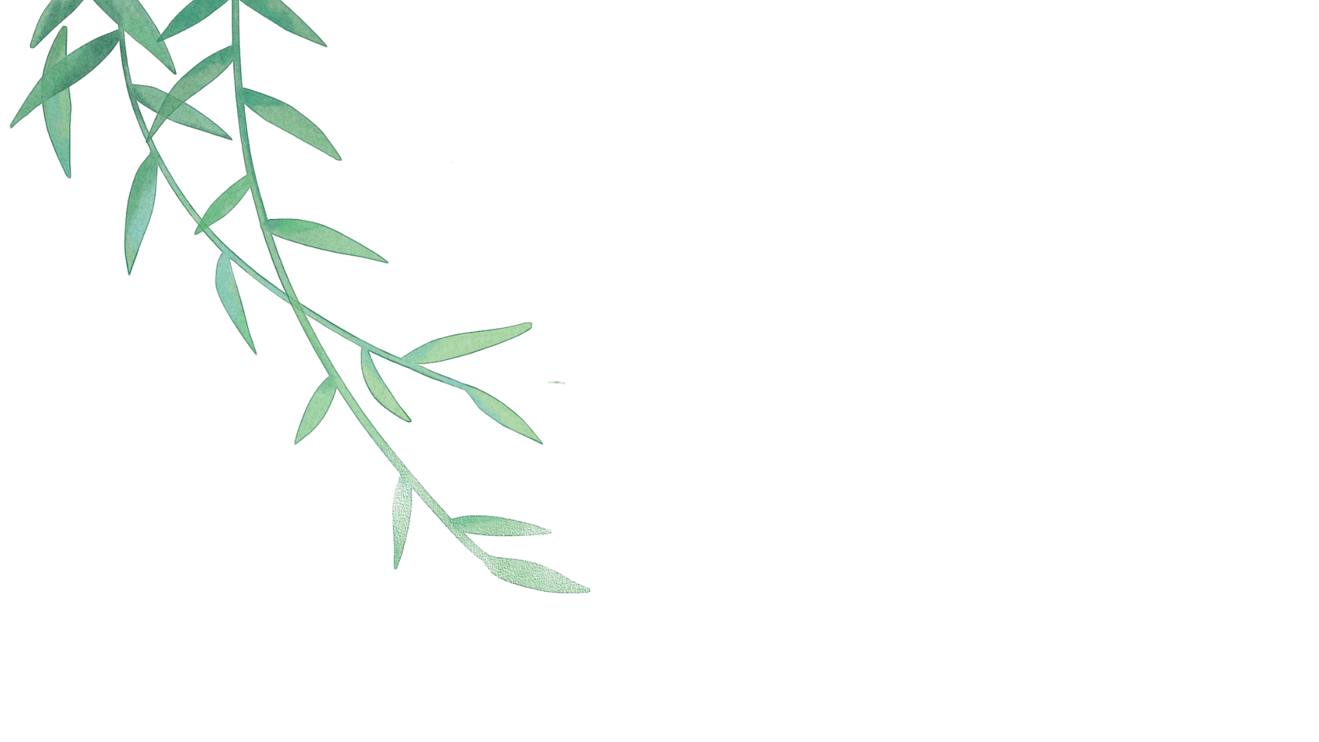 Watercolor illustration of eucalyptus leaves hanging from a branch on the left side of the image.