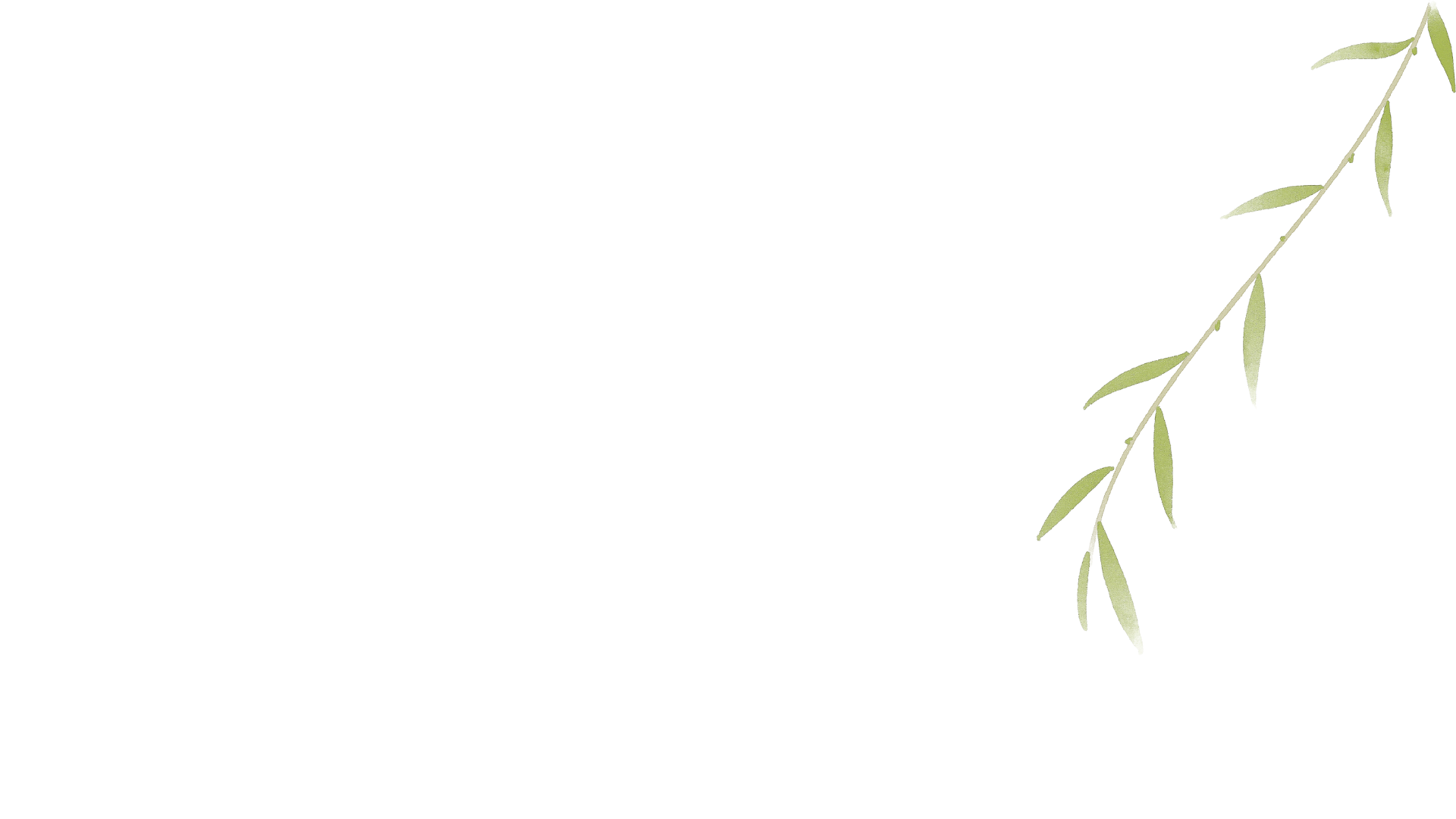 A black background with a green bamboo stalk and leaves on the right side.