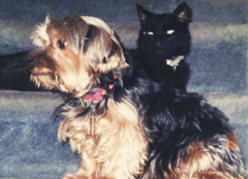 Josie & Blackie