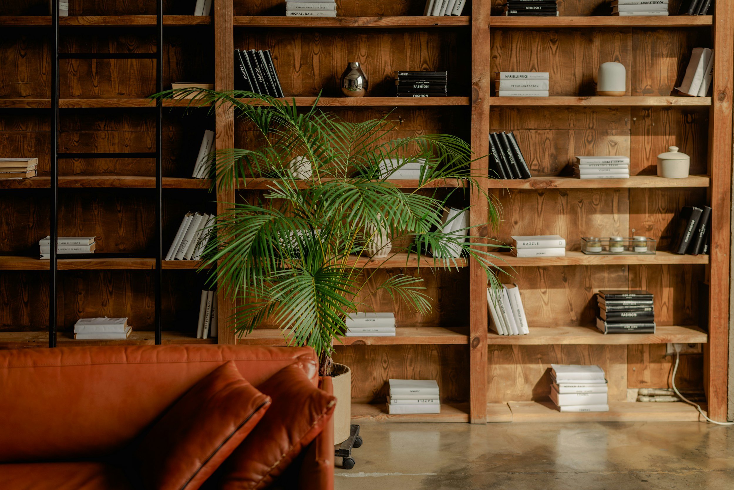 organized living room