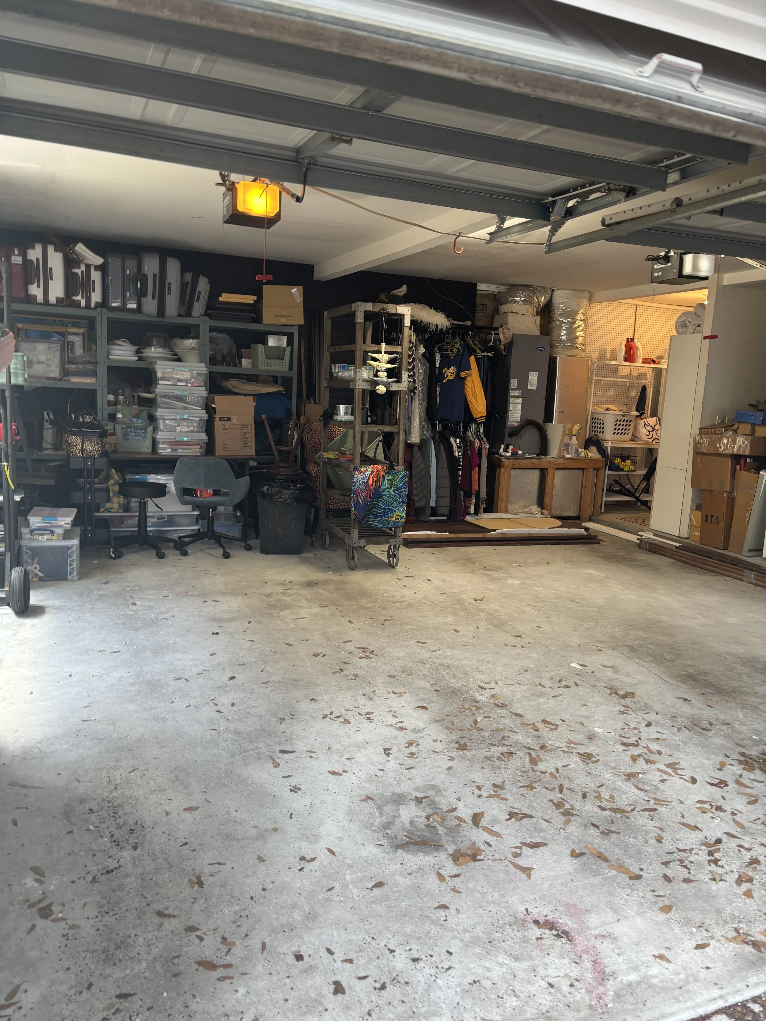 Organized Garage After