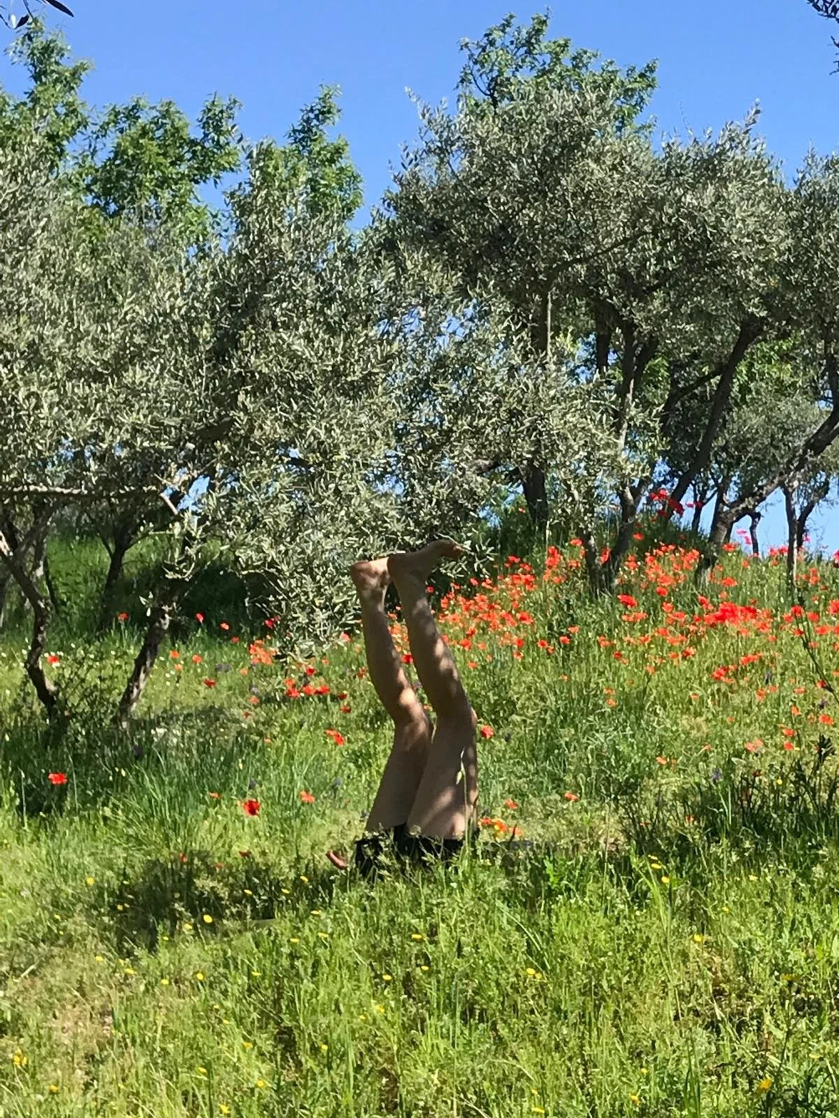 Sarvangâsana, la chandelle en pleine nature, retour sur une pratique