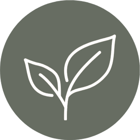 Ein stilisiertes Symbol eines Pflanzens mit zwei Blättern auf grauem Hintergrund.
