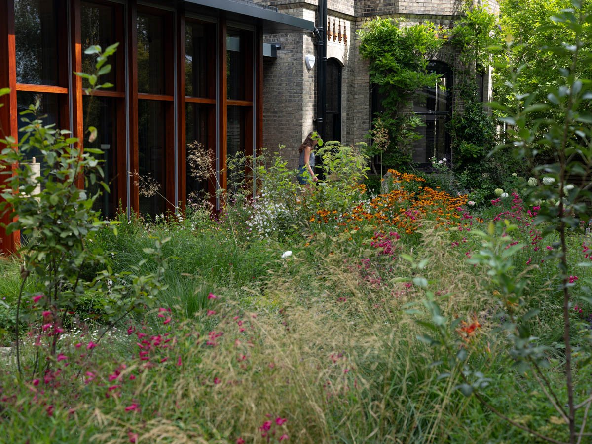 hampstead flowers 1.jpg
