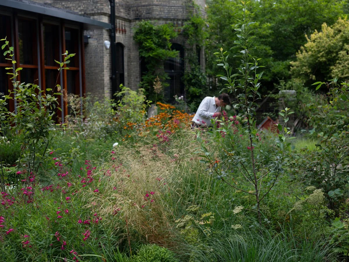 hampstead garden alan 1.jpg