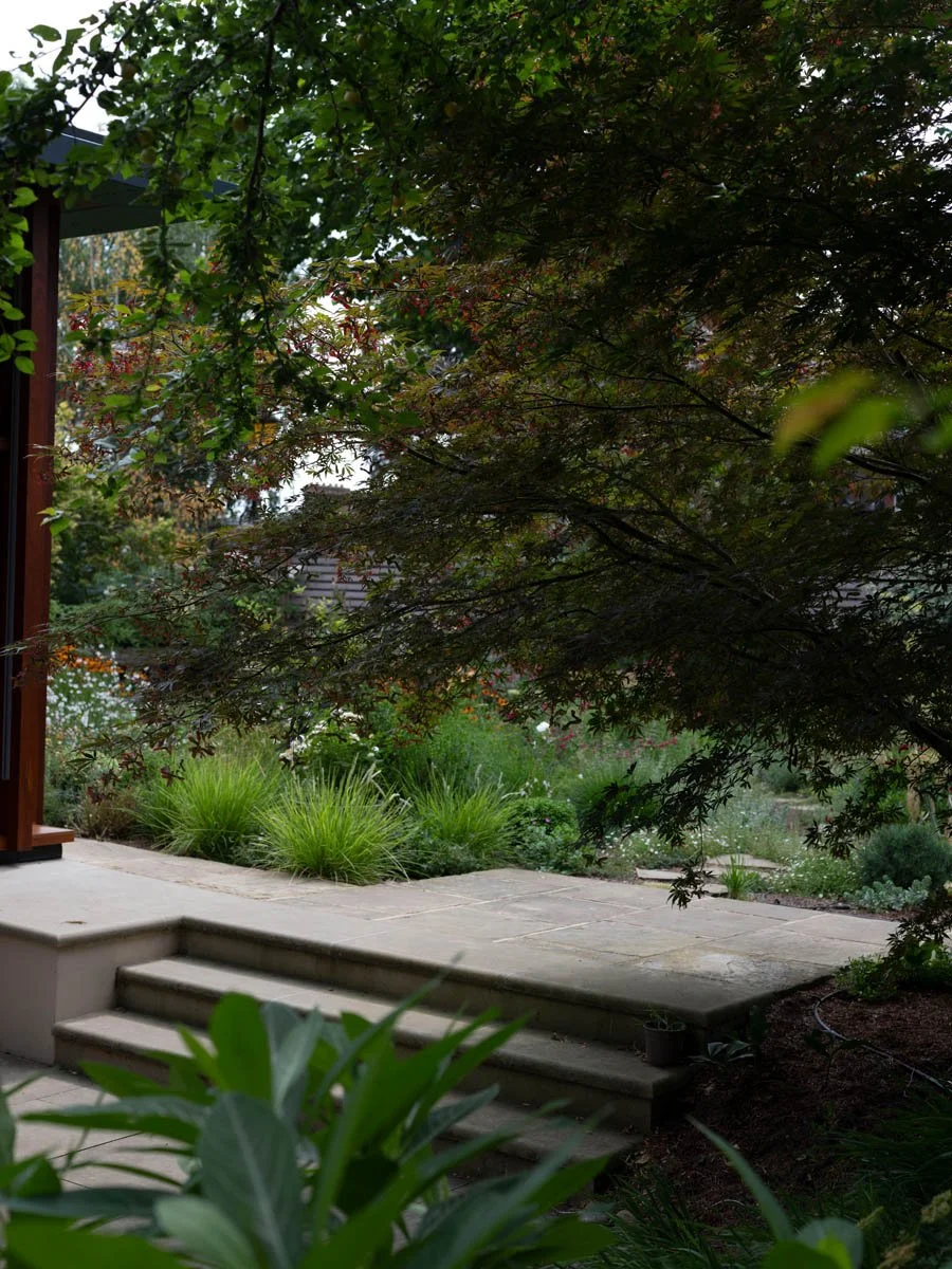 hampstead garden steps 1.jpg