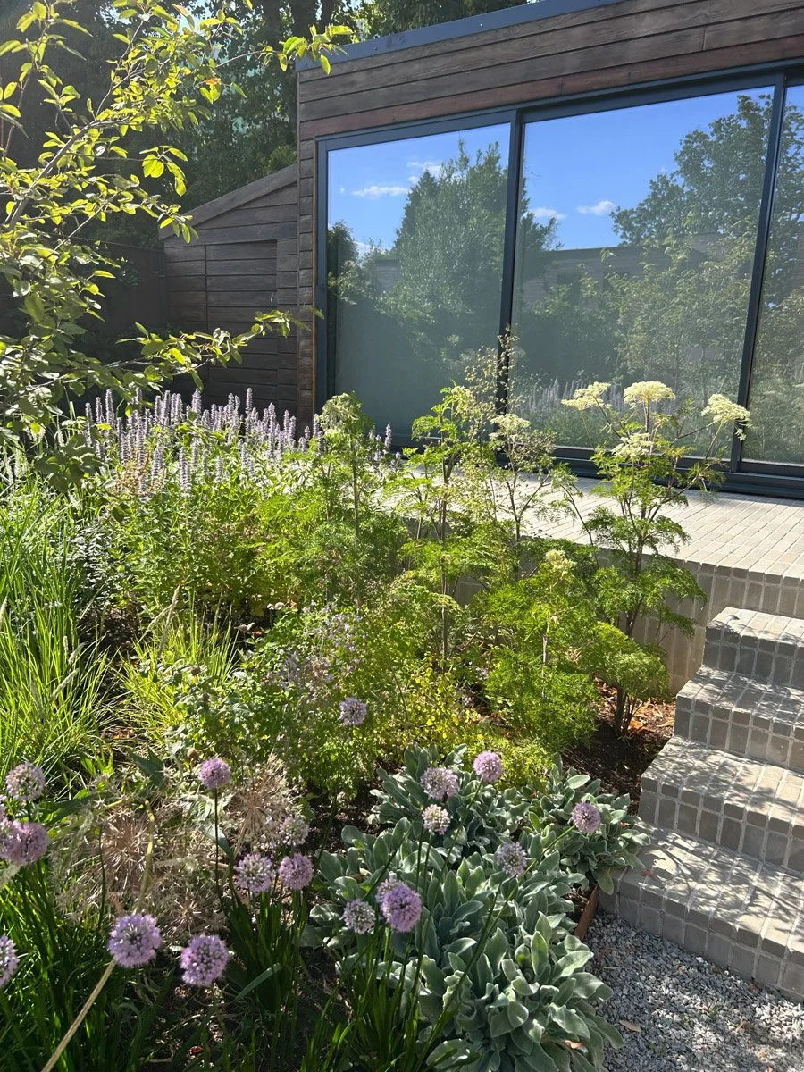 Highgate Garden