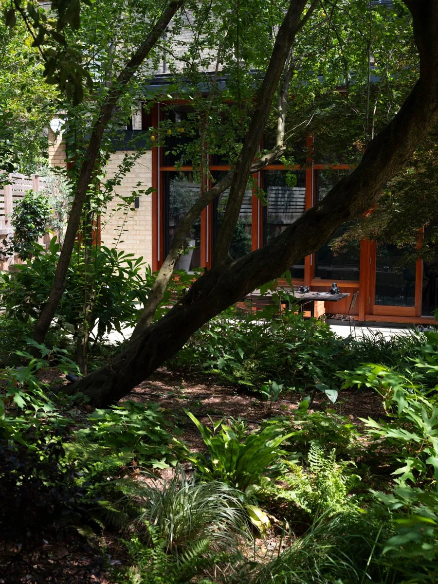 hampstead garden shadow 3.jpg
