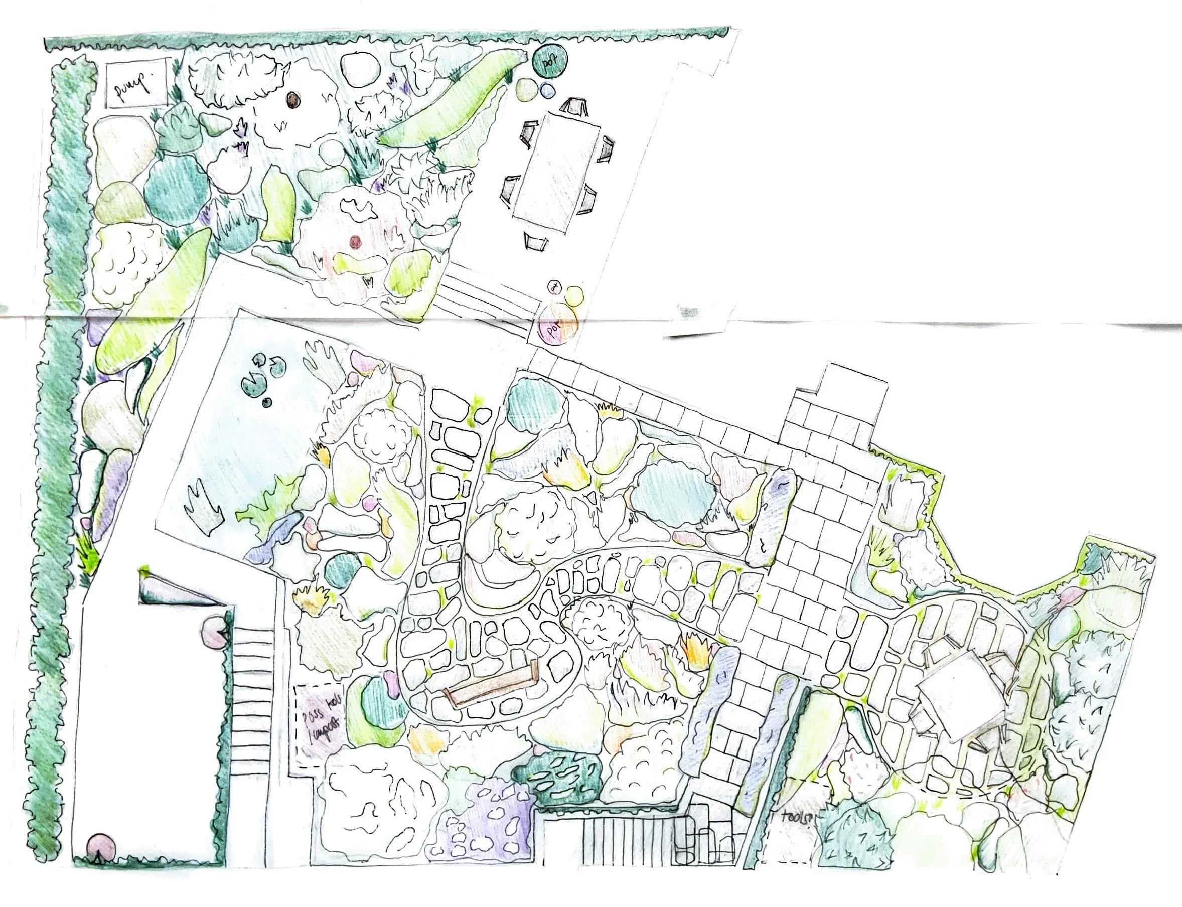 well road garden plan scan 28.08.24.jpg