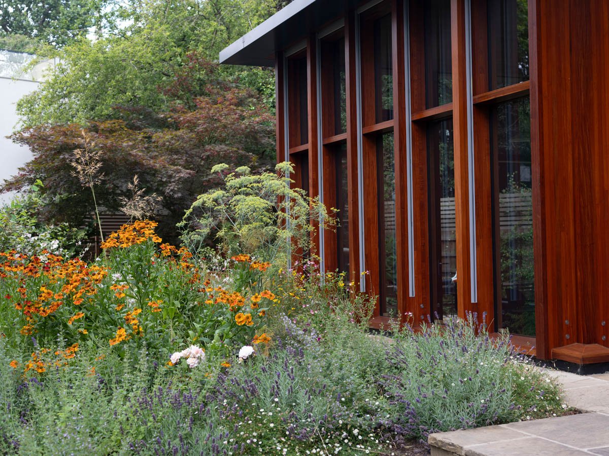 hampstead garden front 2.jpg
