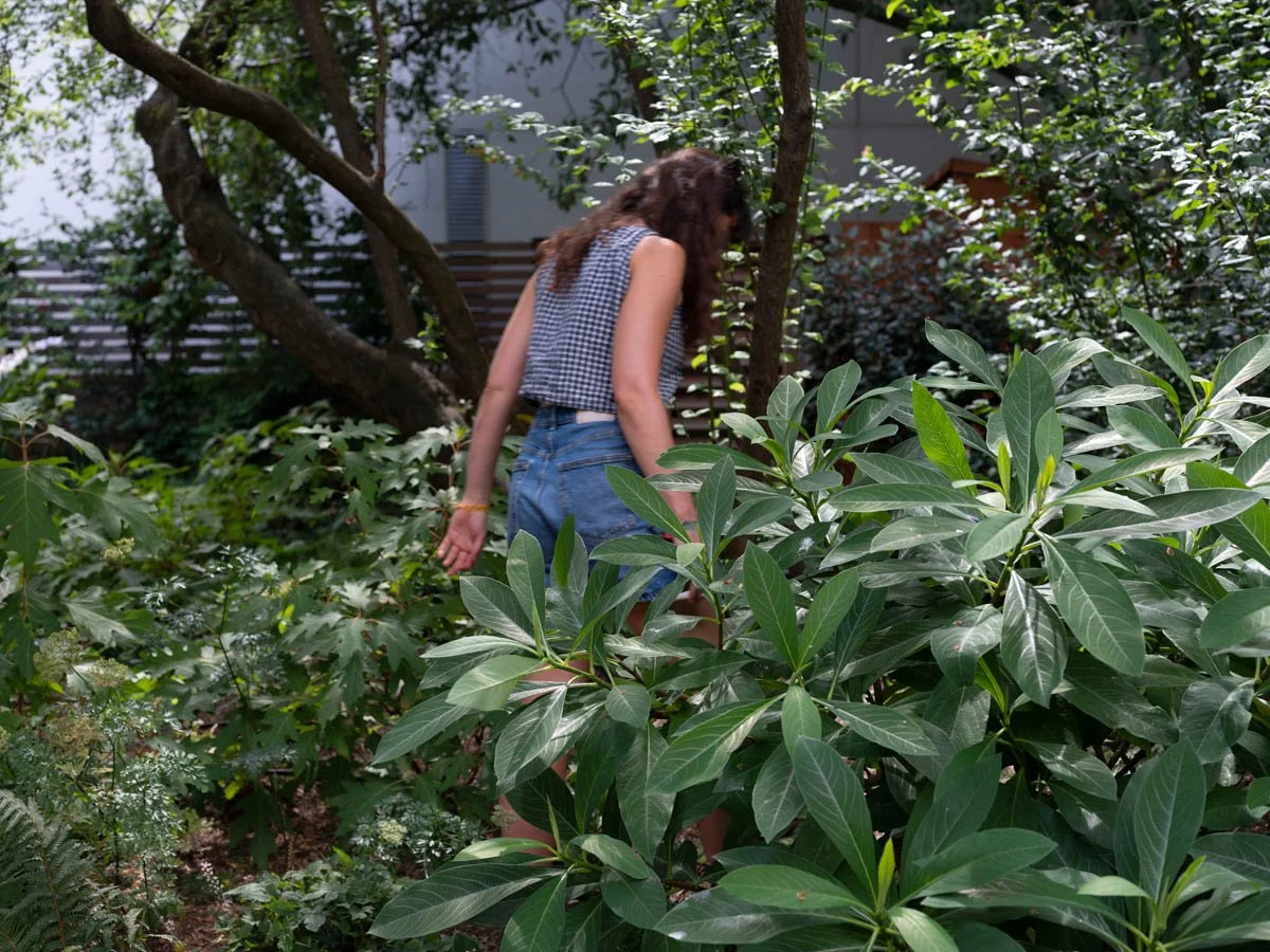 hampstead garden flo 2.jpg