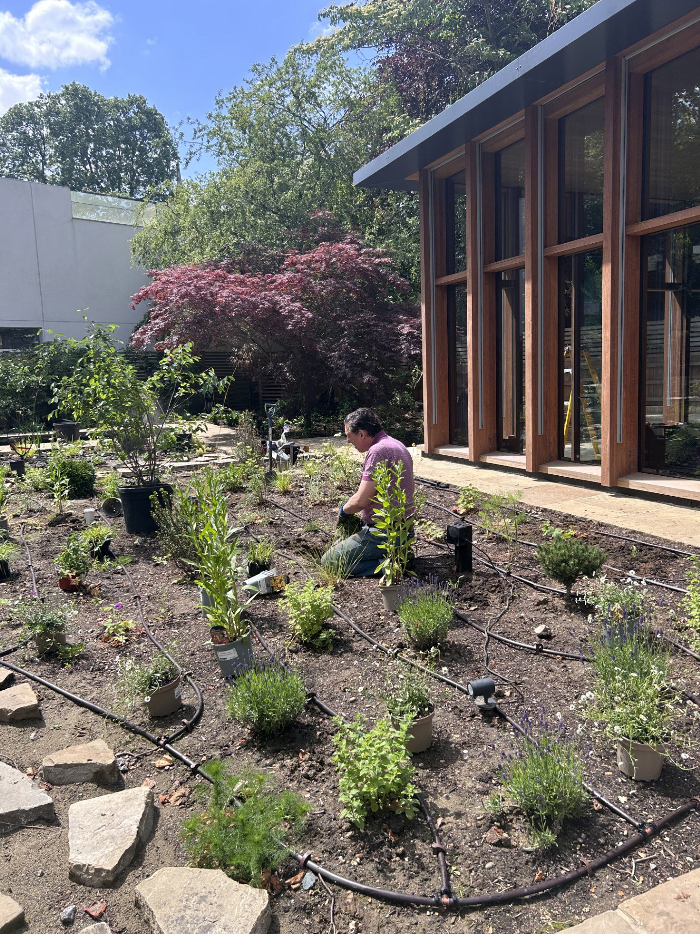 A man kneeling in a garden, planting or tending to plants. The garden has various potted plants and a drip irrigation system. Behind him is a modern building with large glass windows and wooden framing, surrounded by trees and lush greenery.