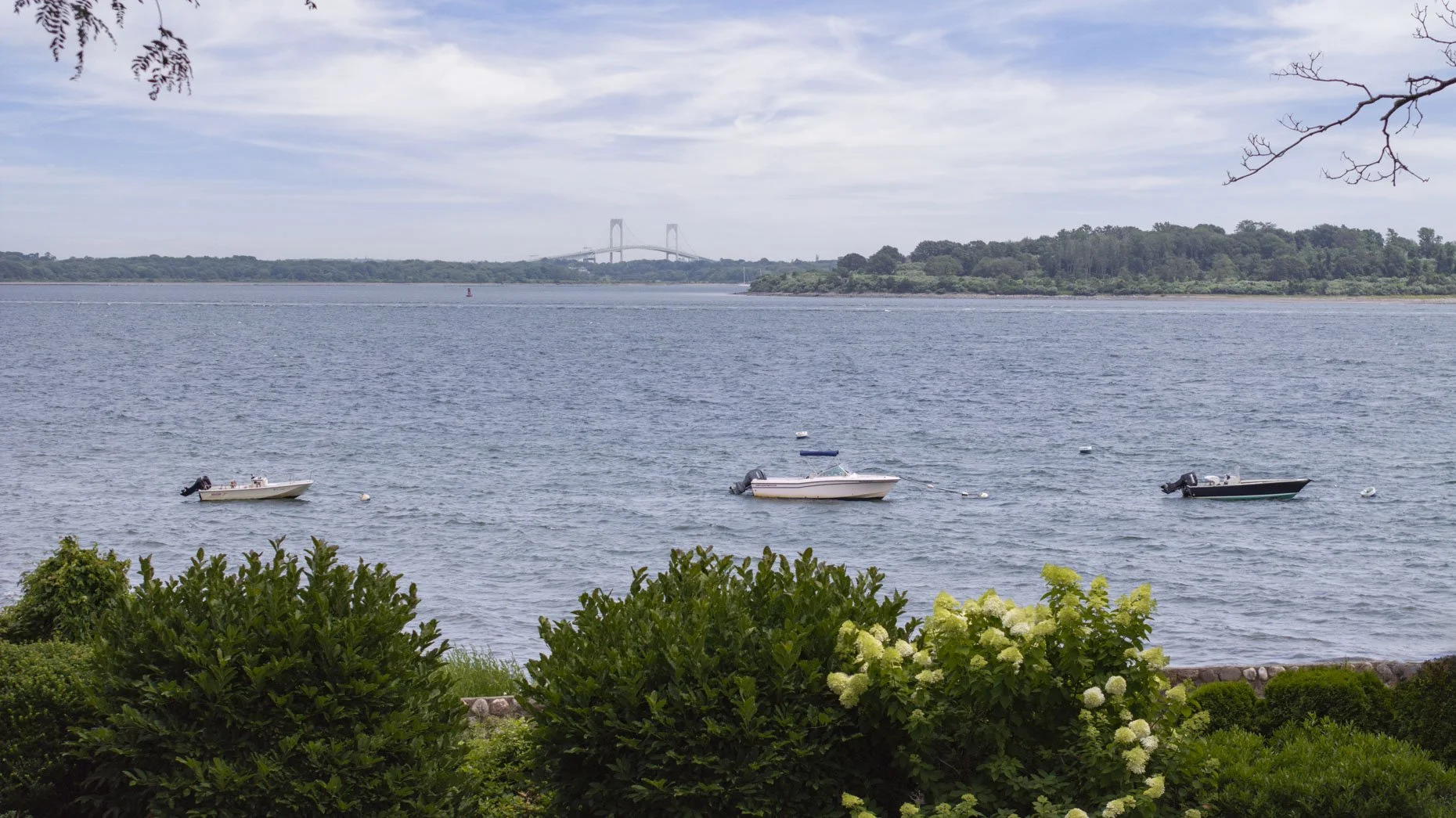 Three boats floating on a large body of water, with green bushes and flowers in the foreground and a distant bridge and land in the background.