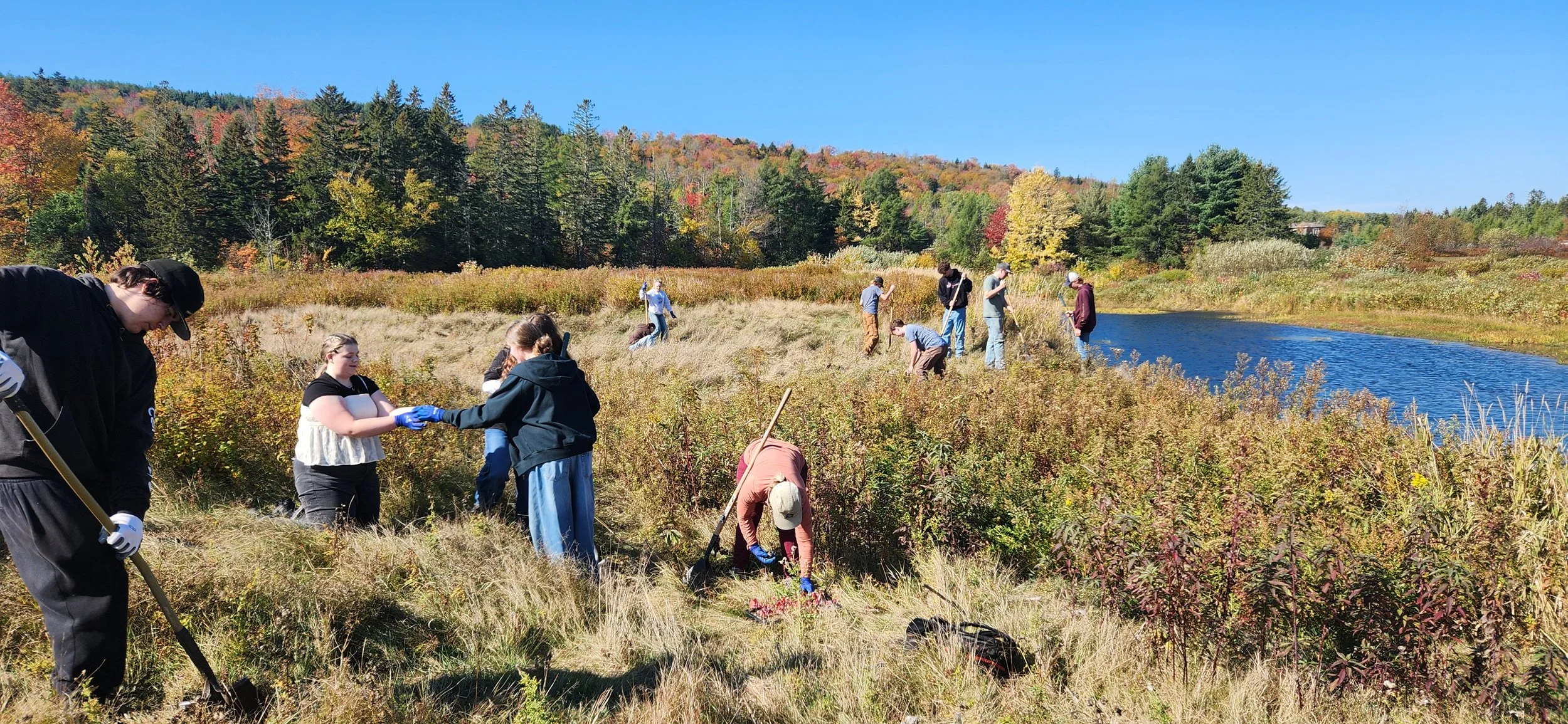 Browse the New Calendar of Events for Sustainable Saint John