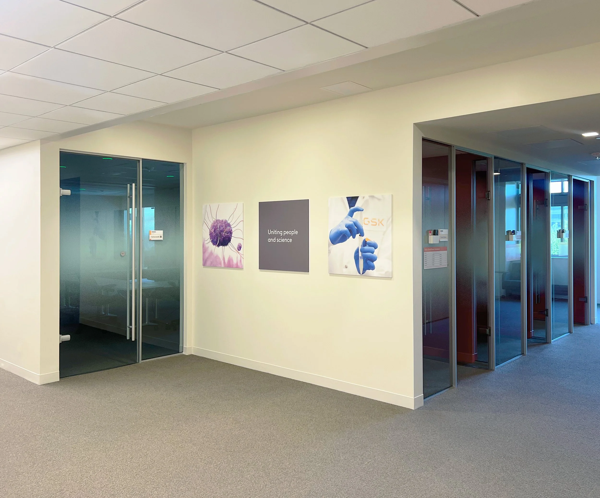 GSK Large Format Branding
