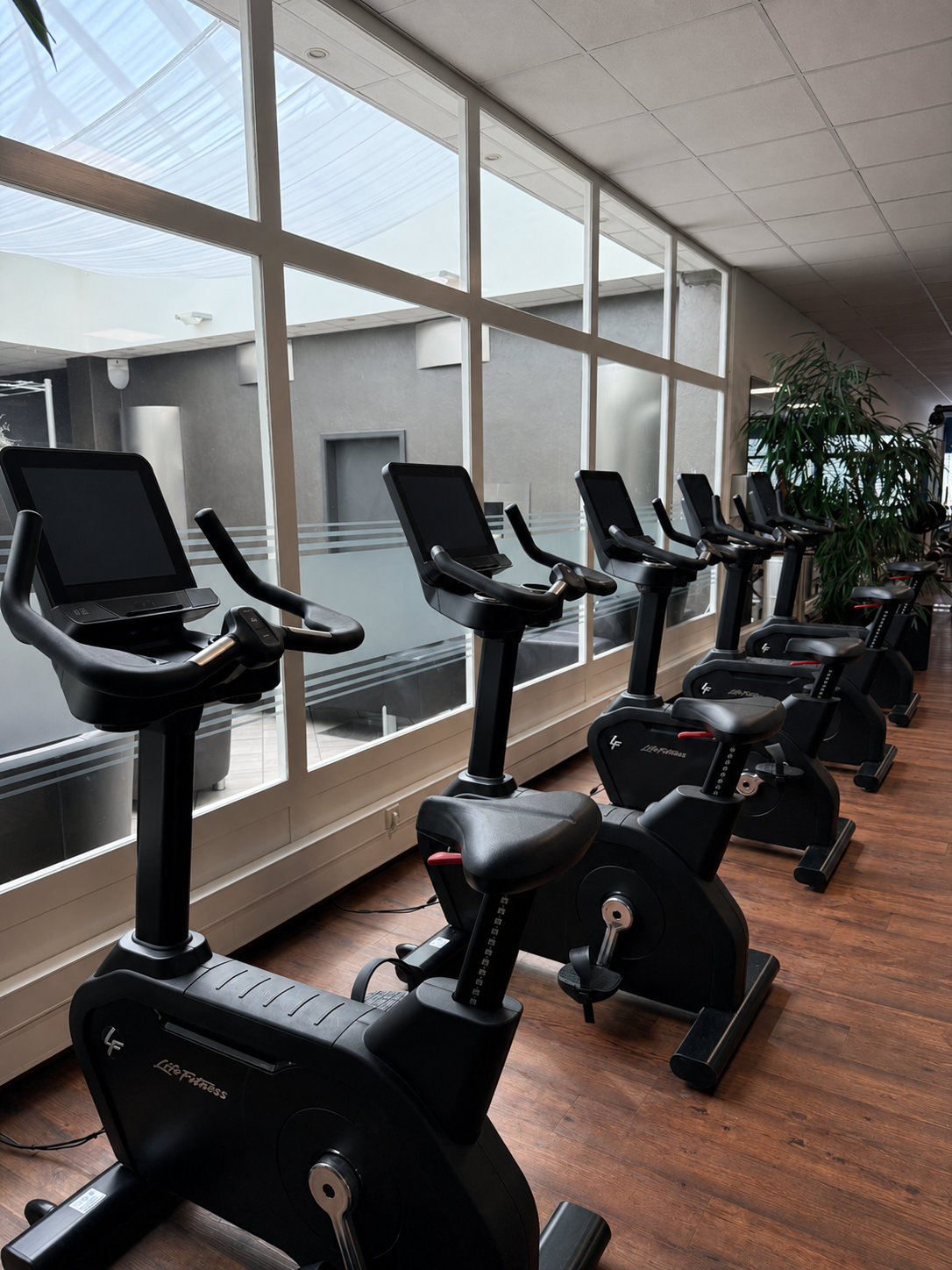 Mehrere schwarze Heimtrainer in einer Fitnessstudio, neben einer großen Fensterfront mit Sicht auf das Gebäude außerhalb, mit Holzboden und Pflanzen im Hintergrund.