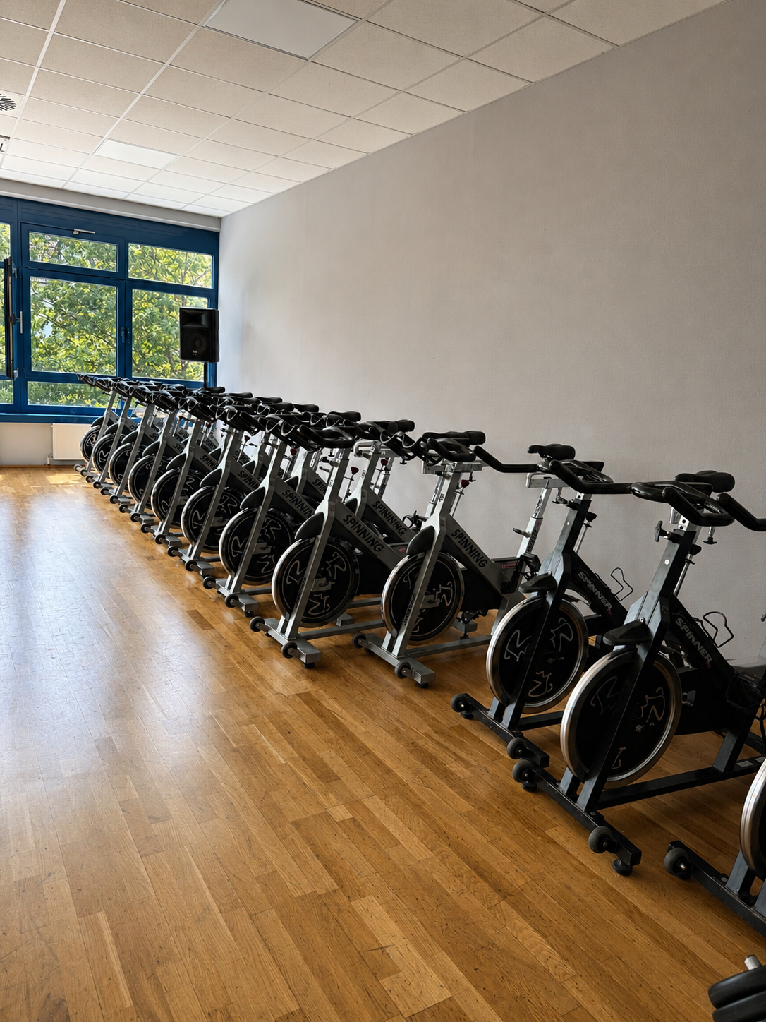 Mehrere Spinning-Fahrräder in einem Fitnessraum mit großen Fenstern und Holzboden.