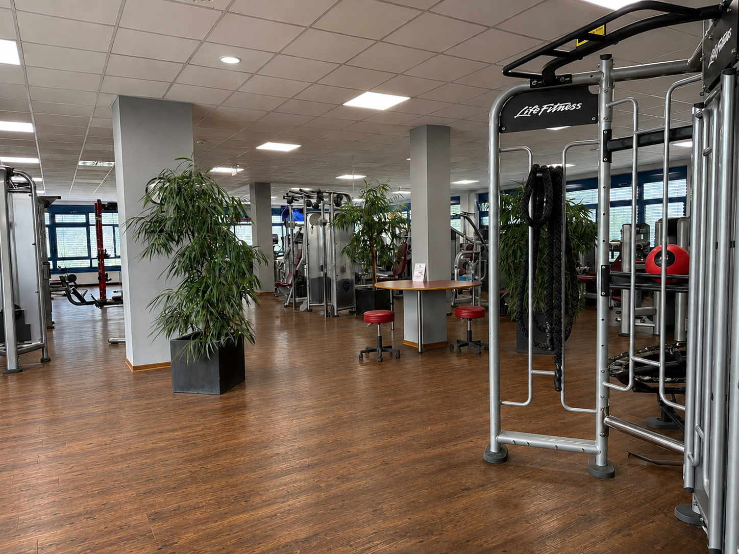 Innenraum eines Fitnessstudios mit verschiedenen Trainingsgeräten, Pflanzen und Holzparkettboden.