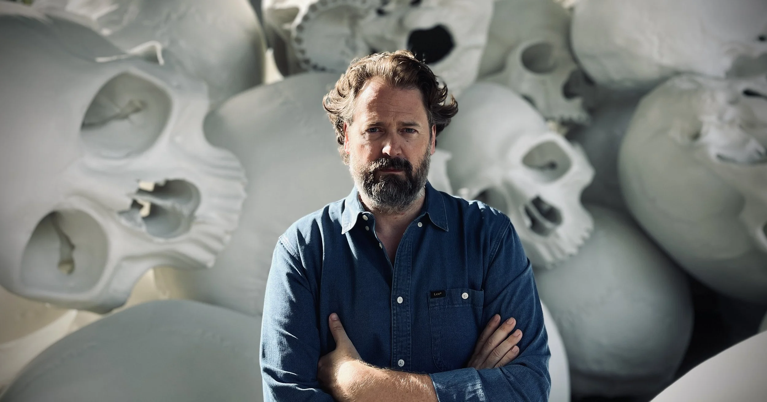 Diederik van Rooijen, Directors, Writers