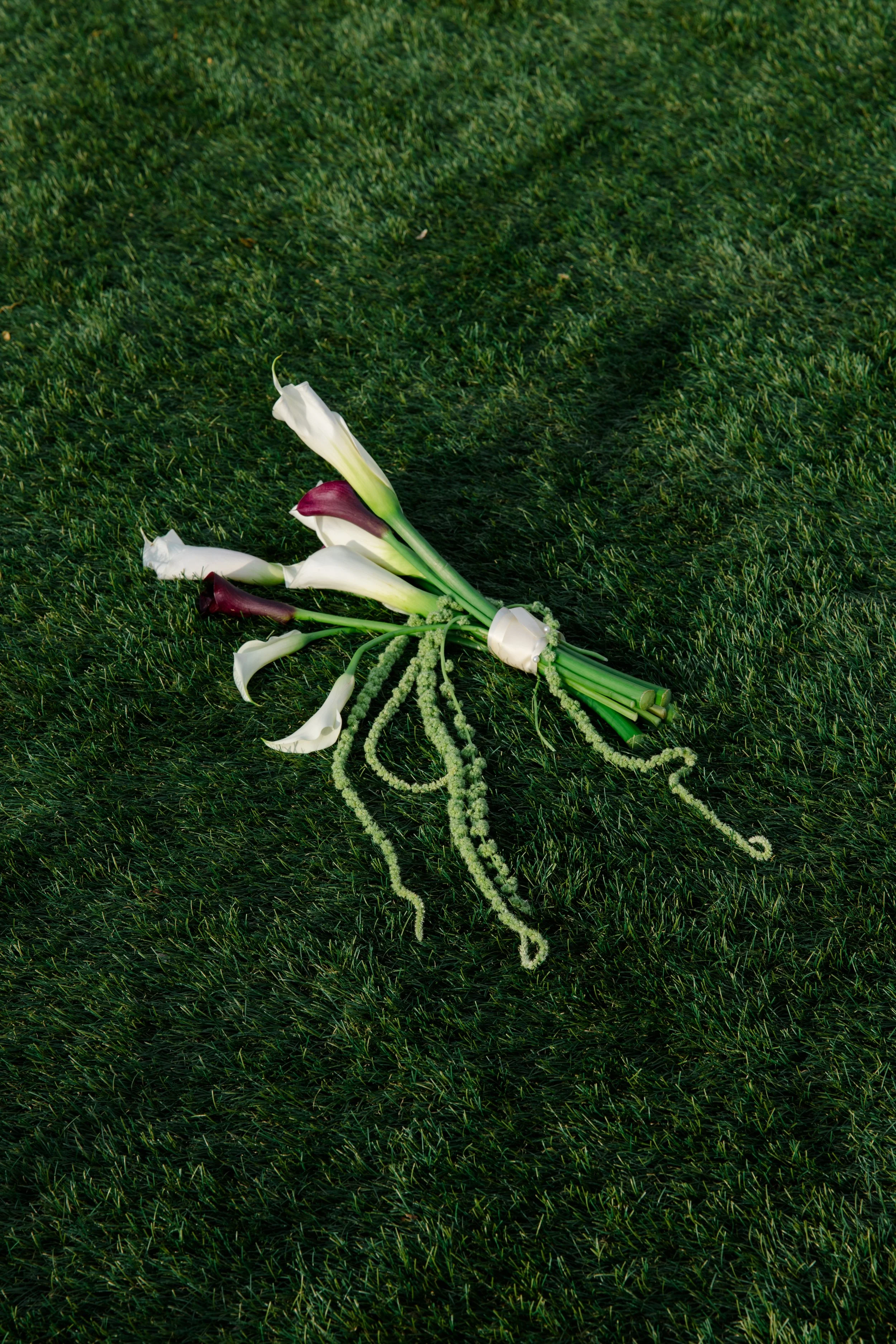HZ3A4235.jpg