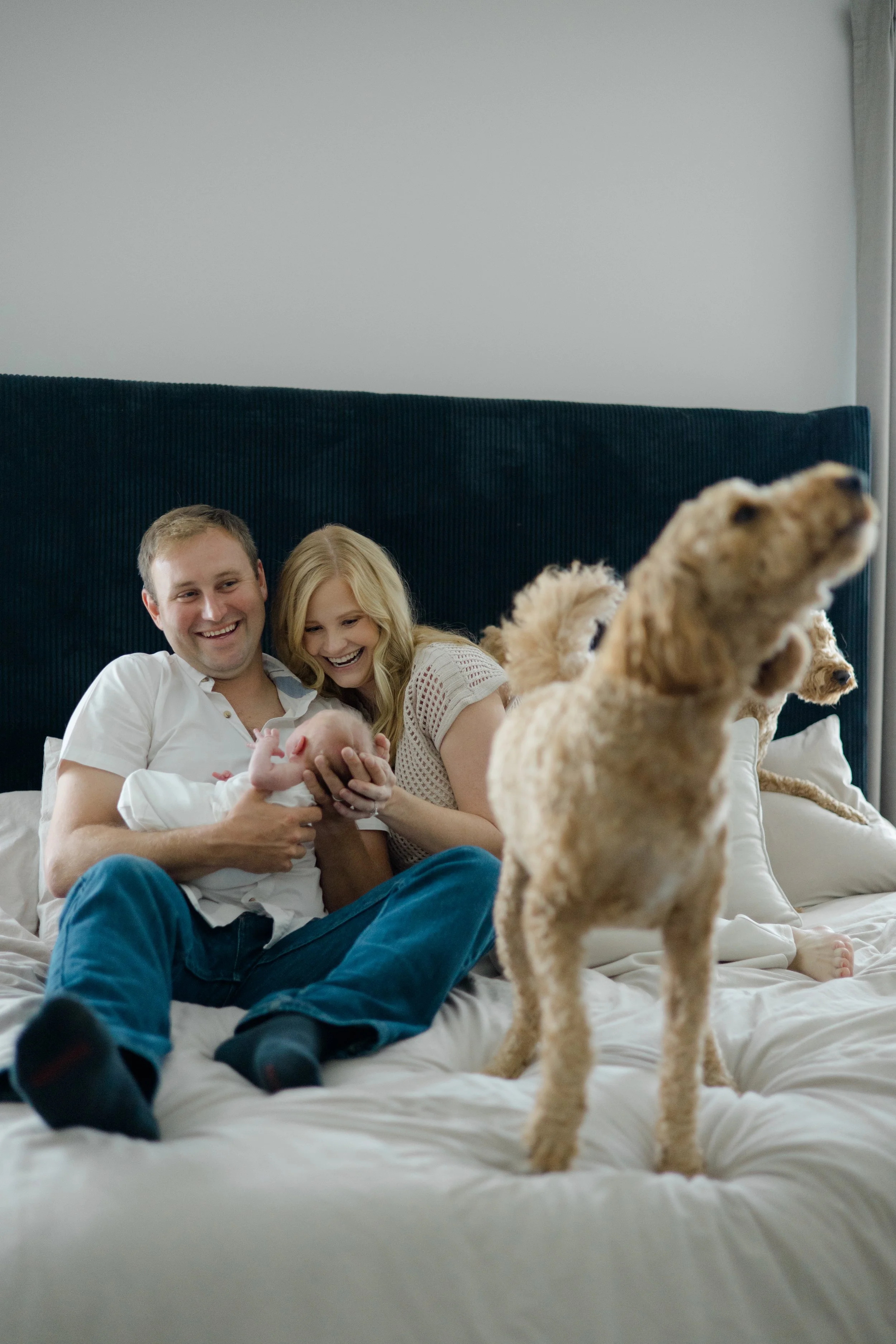 A happy couple sitting on a bed with their newborn baby, while a puppy stands in the foreground, capturing a cozy moment in a bedroom.