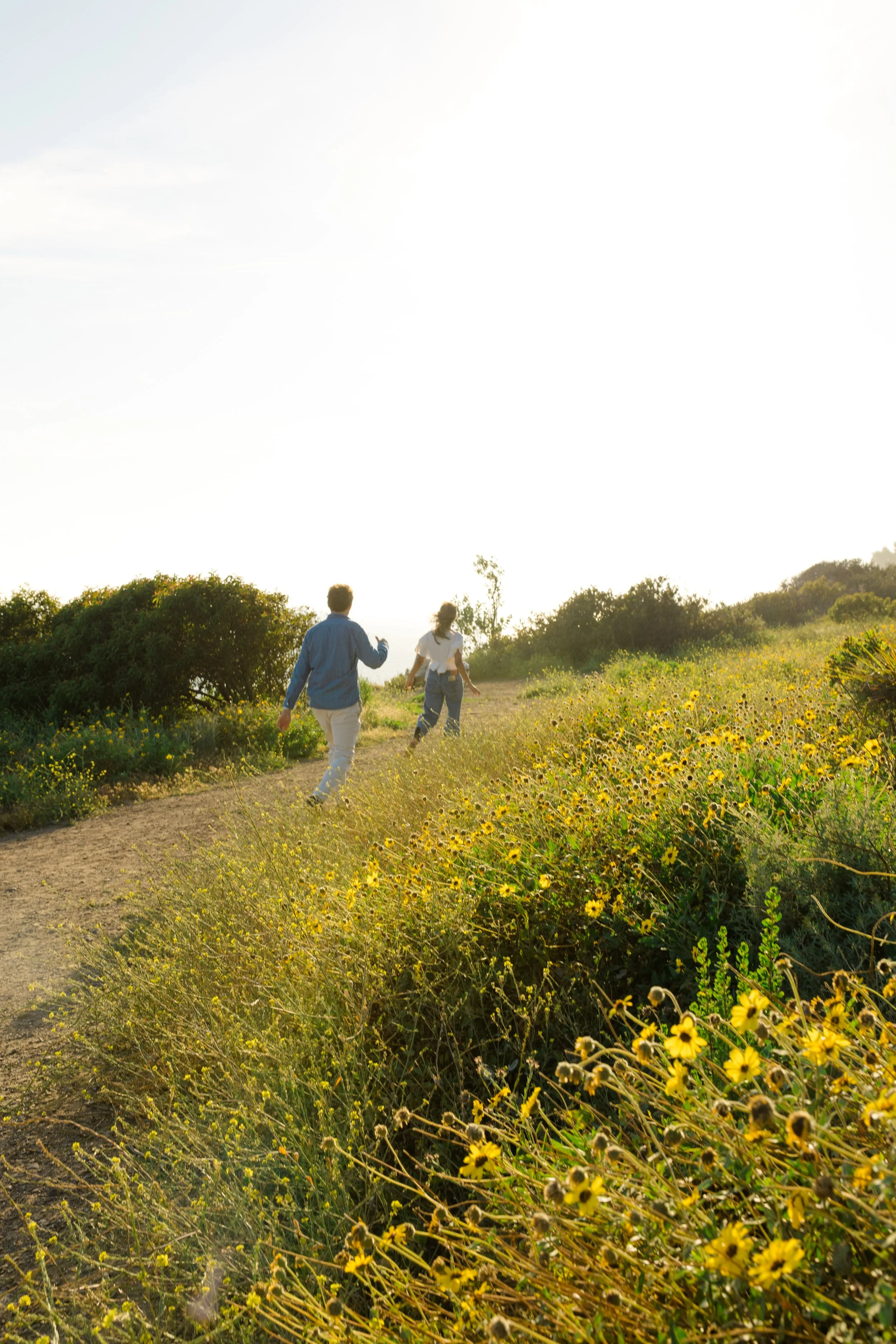 A couple is walking along a dirt path through a field of yellow wildflowers, with green shrubs and trees in the background, under a bright sky.