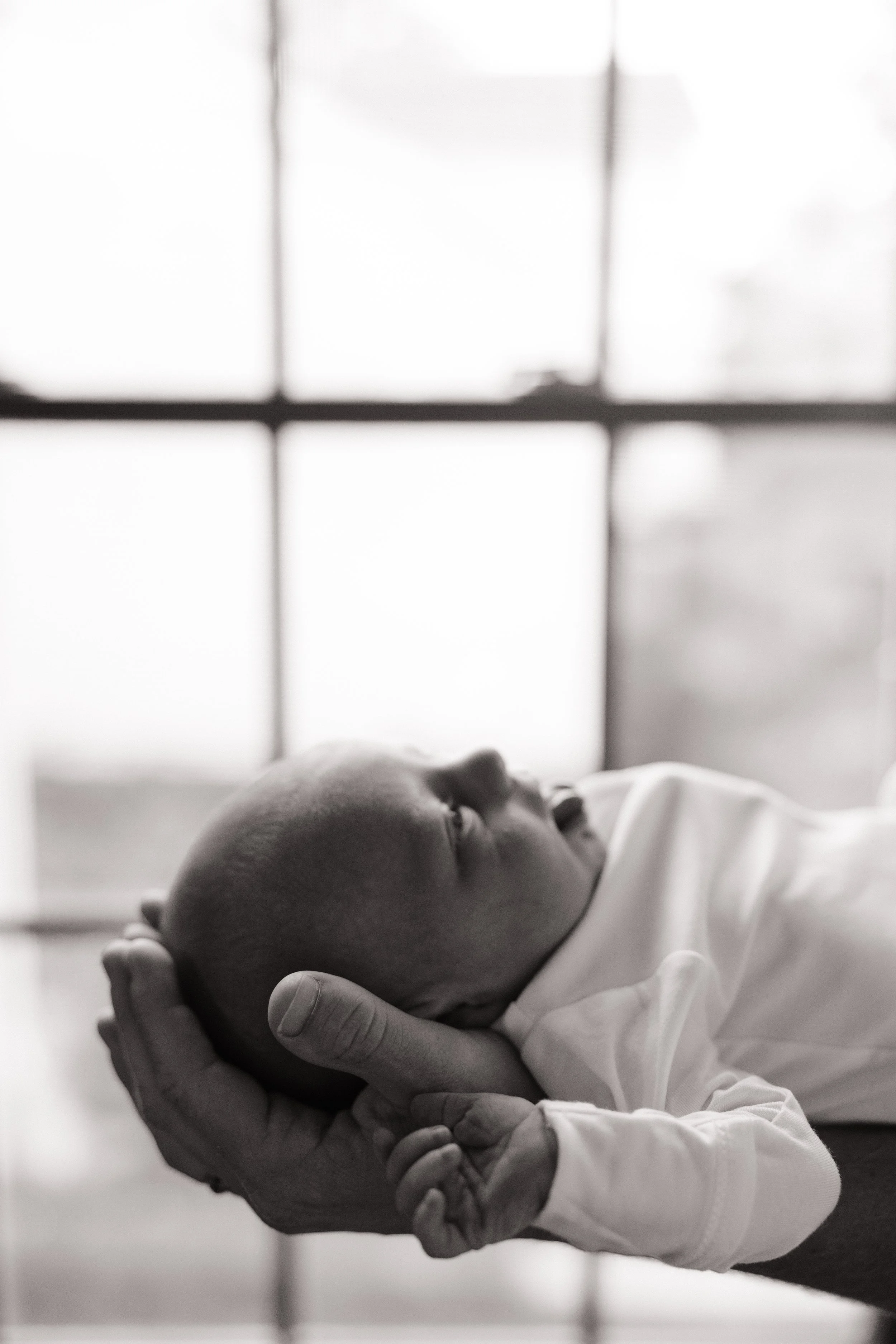 Close-up of a person's hand gently cradling a newborn baby's head. The baby has a bald head and closed eyes, wearing a white garment. The background shows a blurred window with light shining through.
