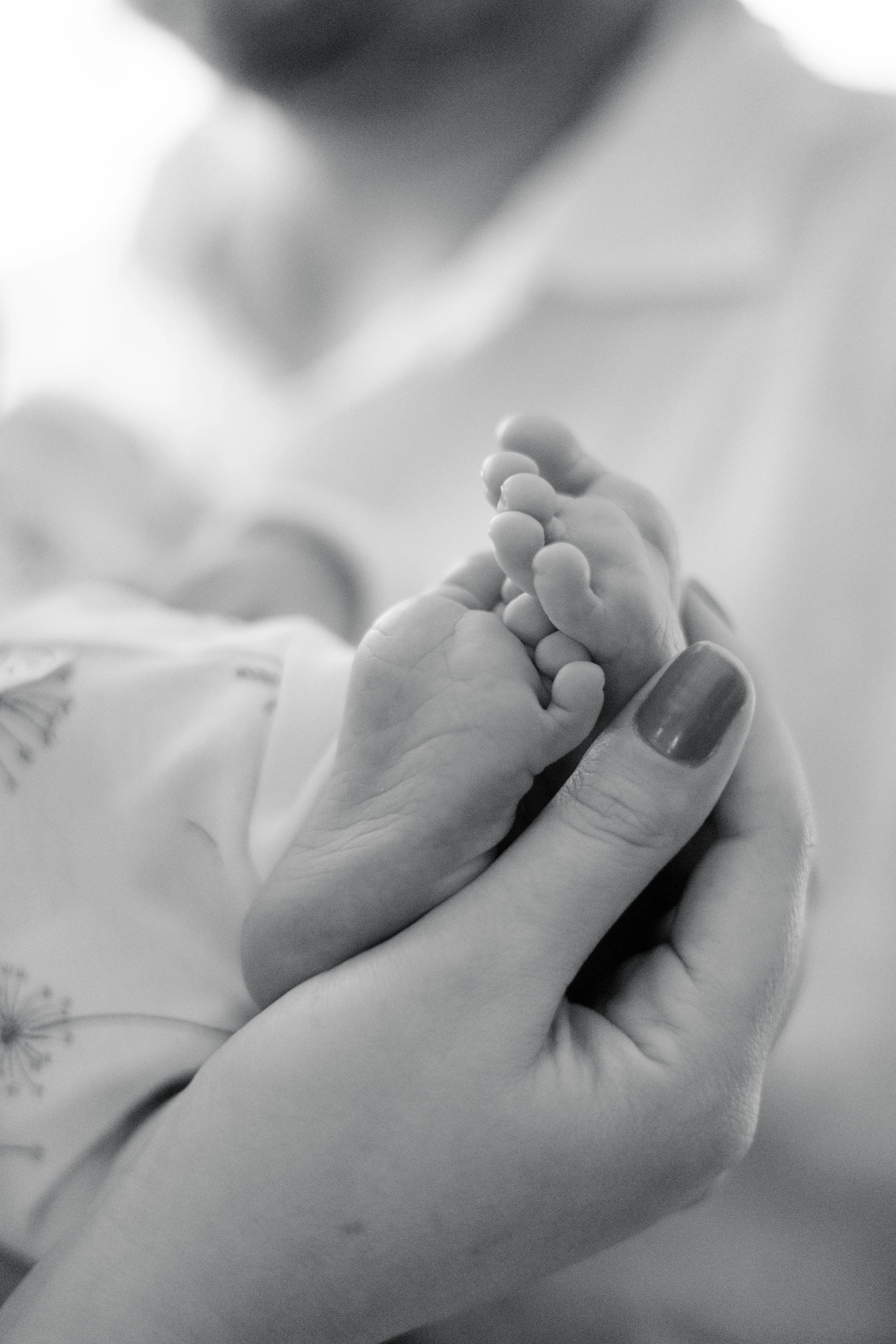 Close-up of an adult hand holding a newborn baby's foot.