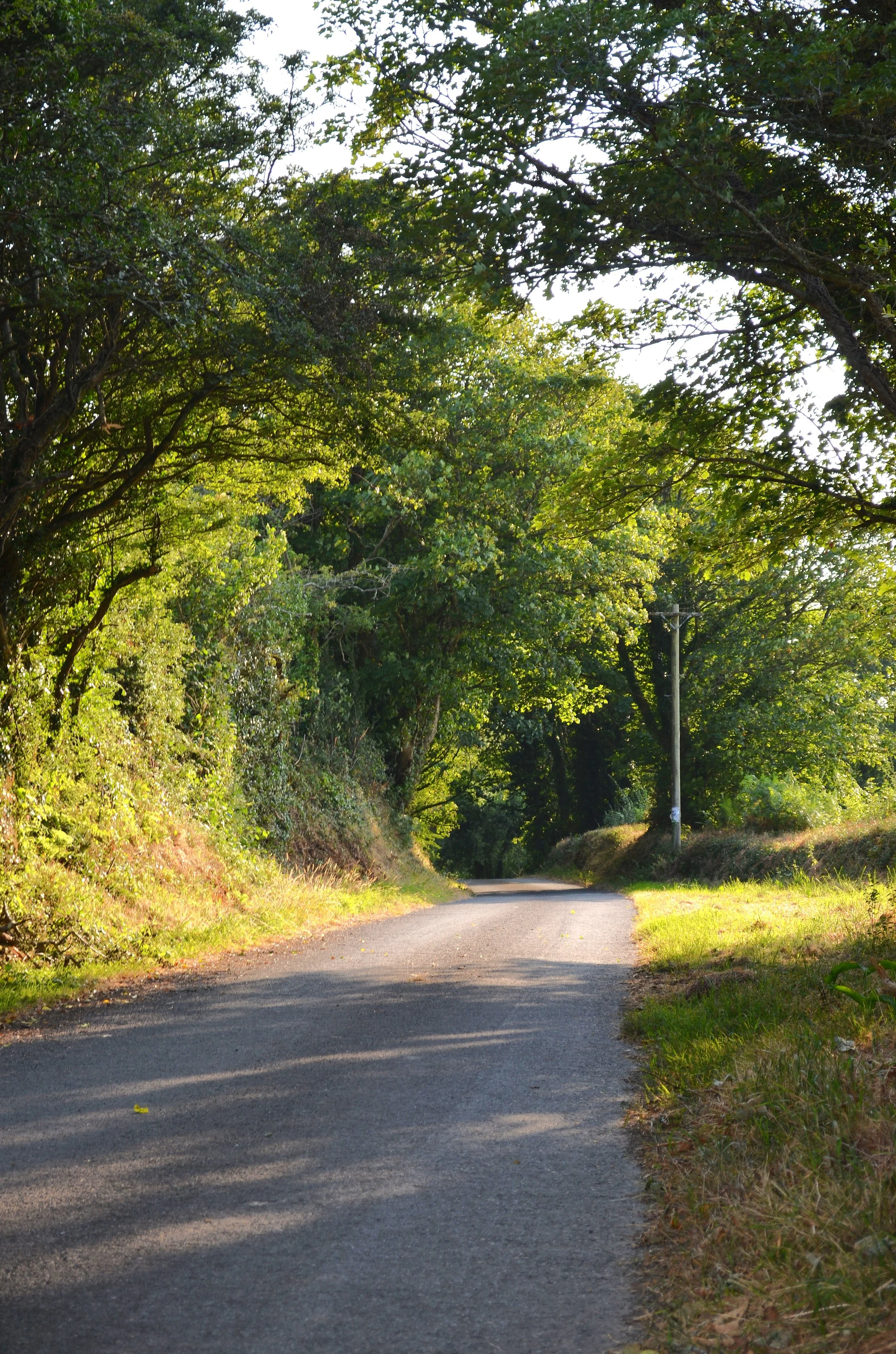 walk and talk therapy. Eco-therapy. Neurodivergent, trauma informed approach.