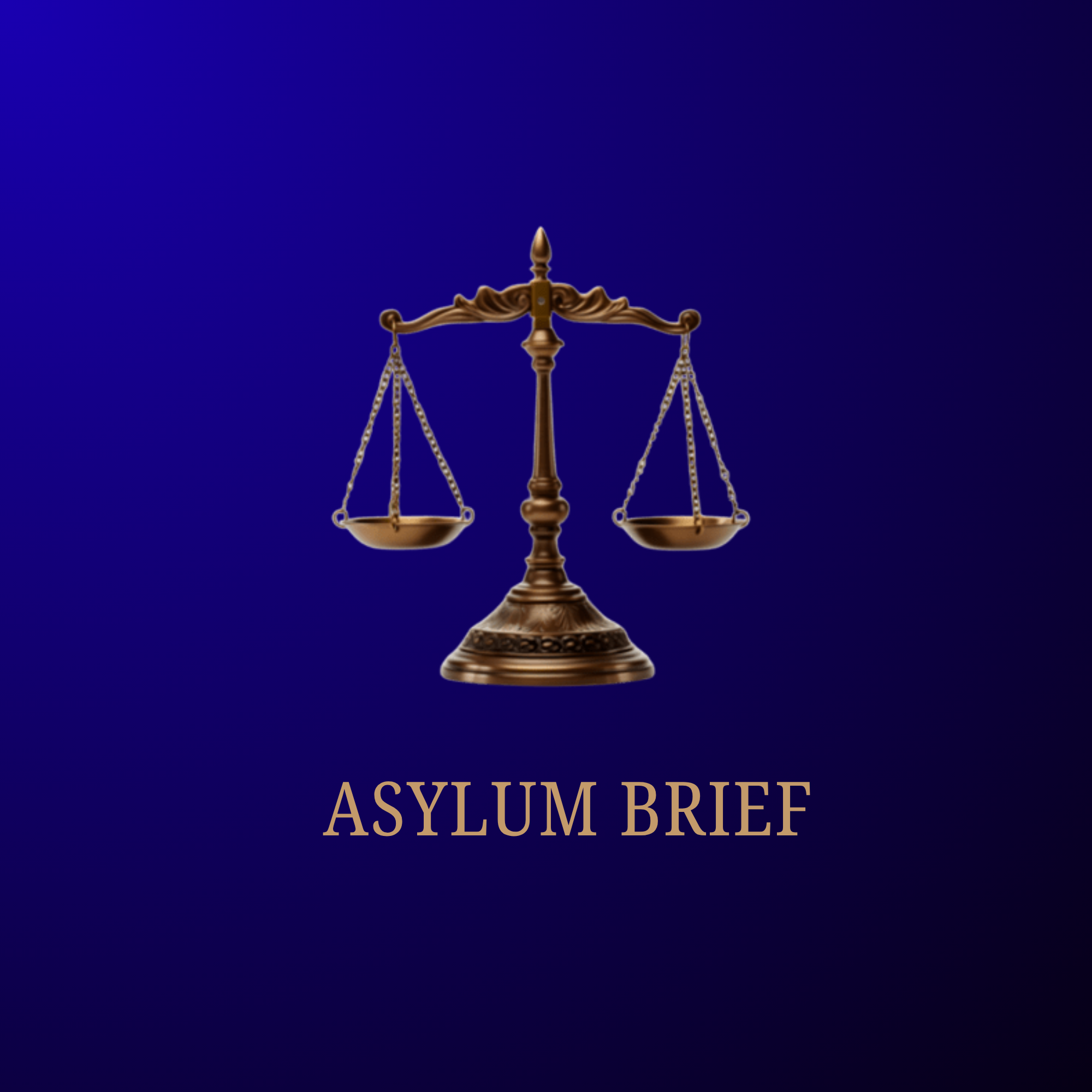 Asylum Brief Preparation (Immigration Court)