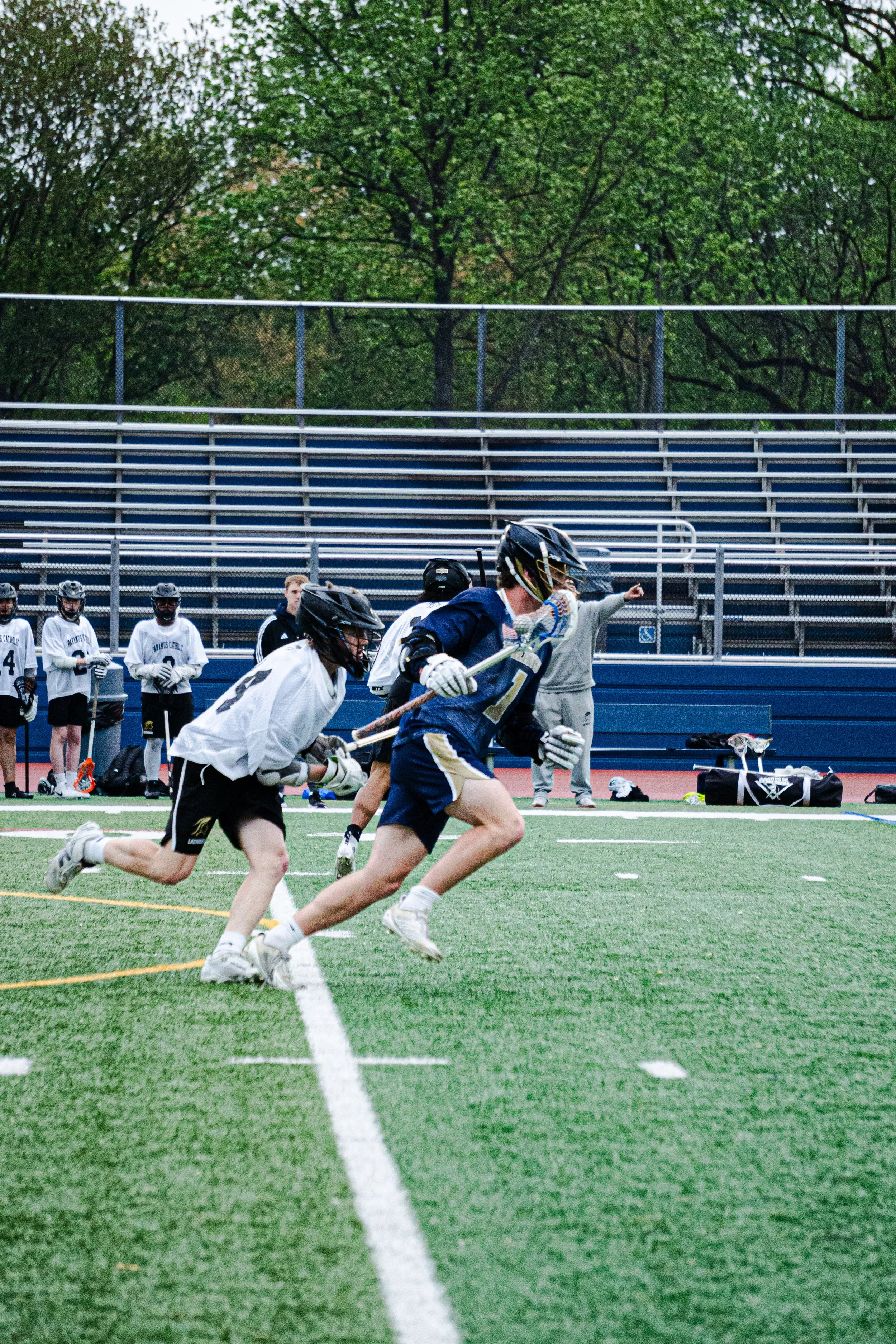 Lacrosse players in white and blue uniforms competing on a green turf field with a chain link fence and green trees in the background.