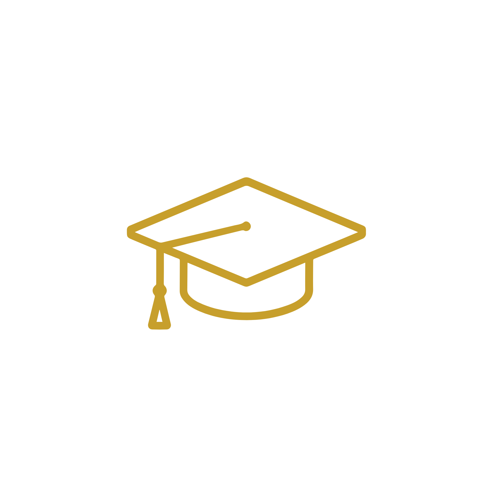 Line art illustration of a graduation cap with tassel and dollar sign