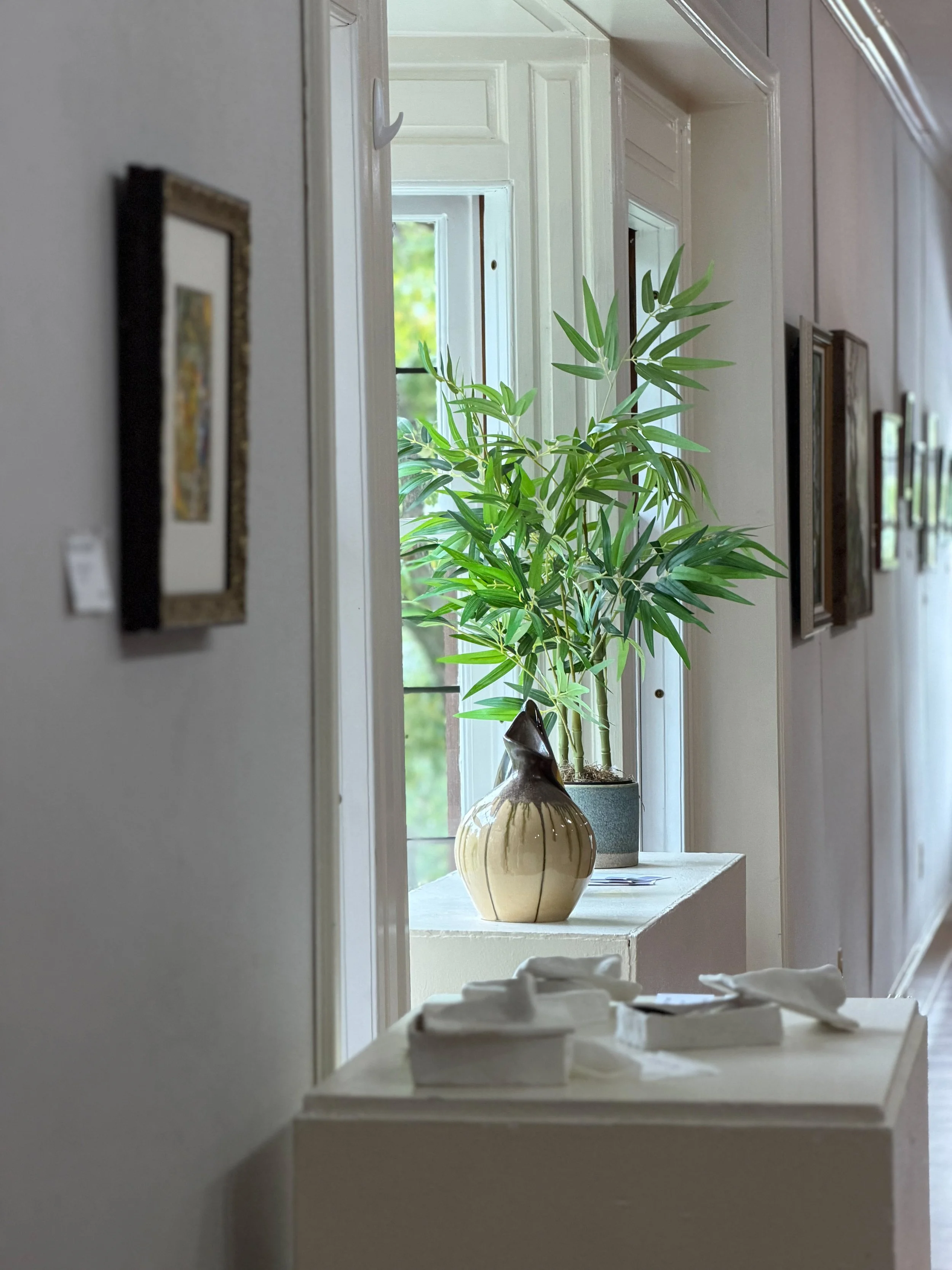 A plant sits in the window sill of the main gallery at the carpenter center, with artwork hung in the foreground and background.