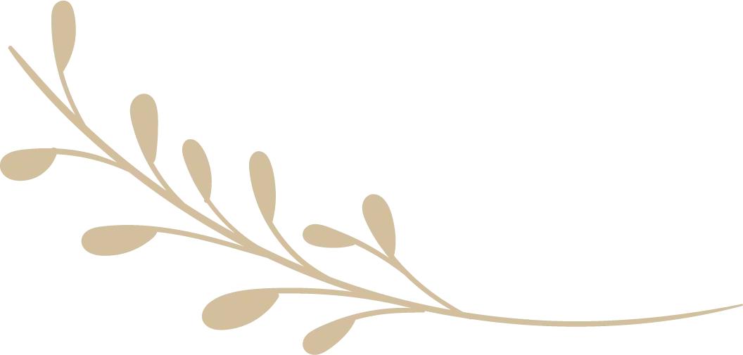 Beige decorative leafy branch on light green background
