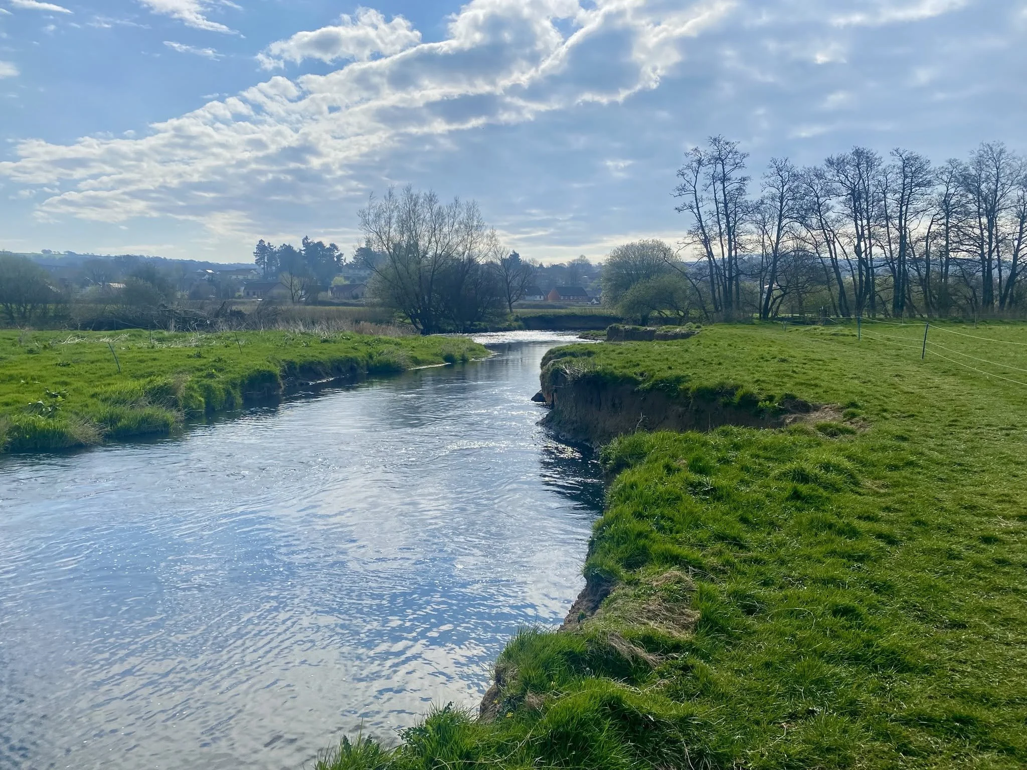 A view of the Axe river flowing through green grassy fields, with leafless trees along the banks, and a distant view of houses under a partly cloudy sky.