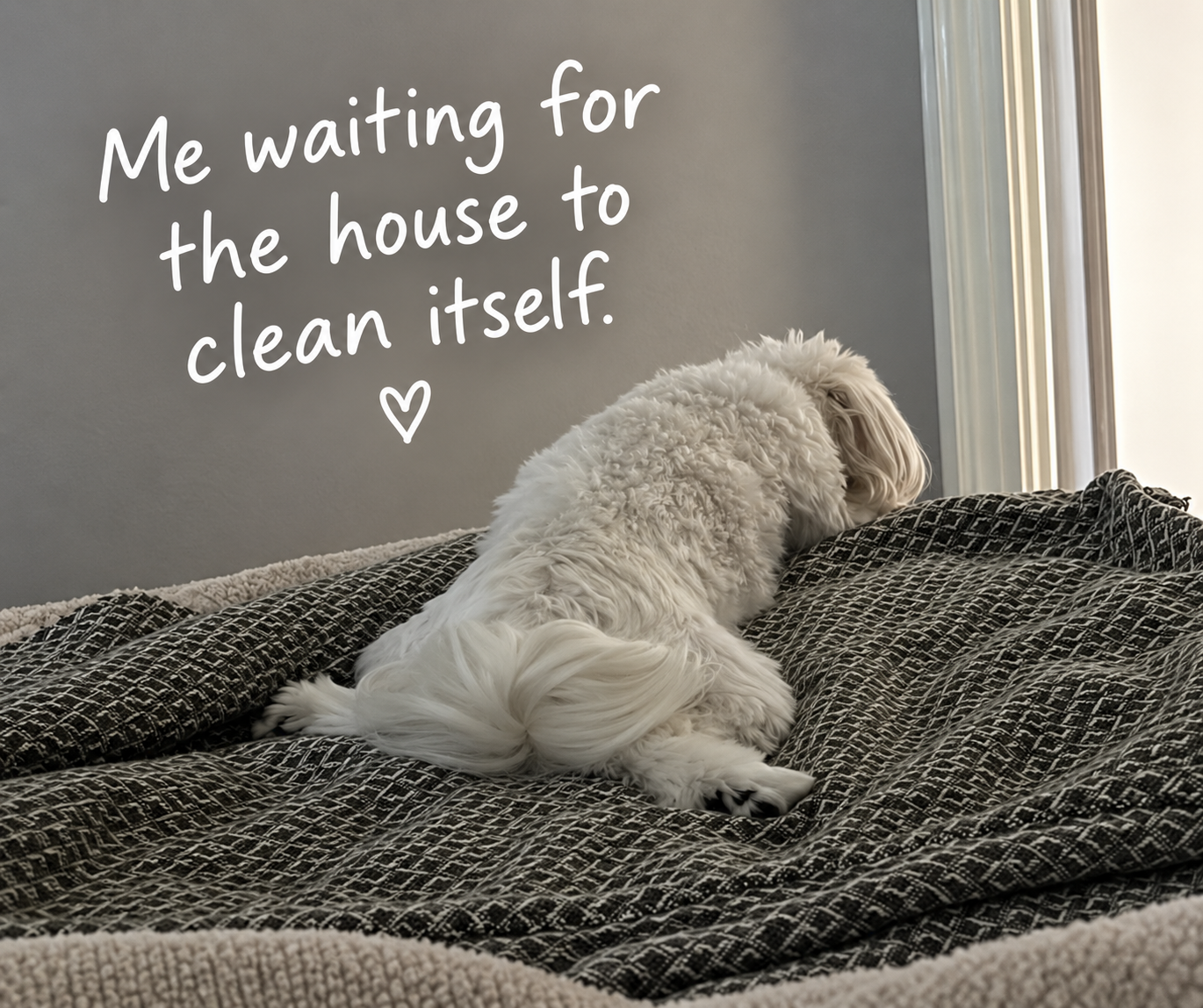 A white, fluffy dog lying on a bed, facing away, with a window on the right. There is text on the image that says, 'Me waiting for the house to clean itself.' with a small heart symbol.