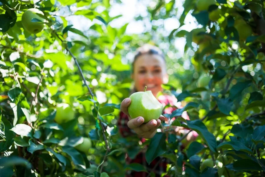 Confessions of a fruit thief