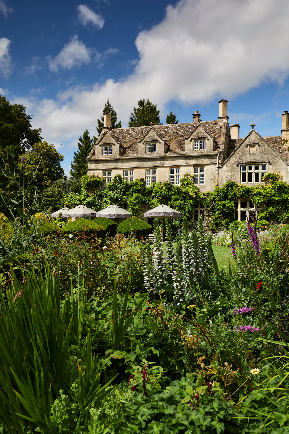 The Pig in the Cotswolds