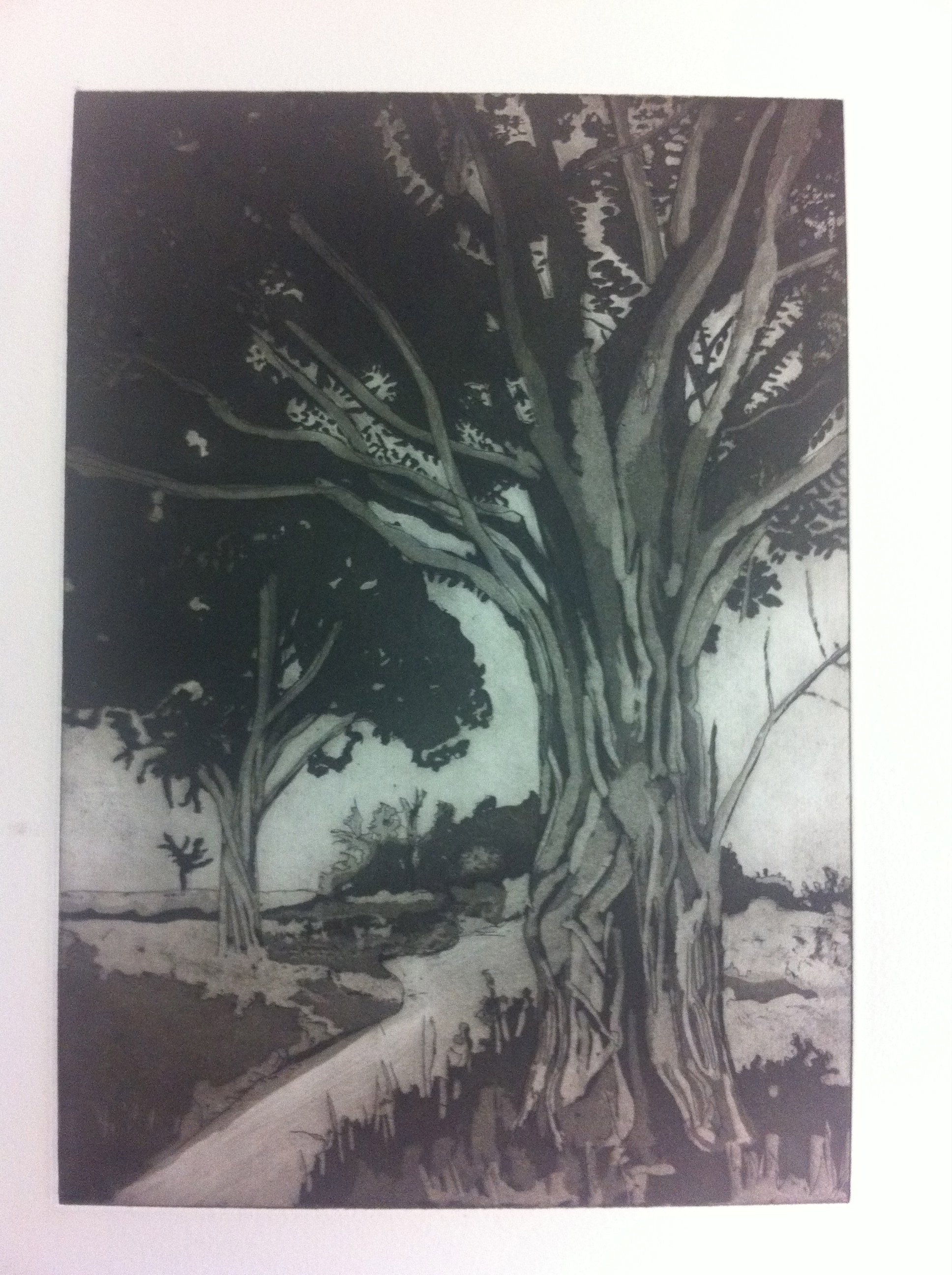 Banyan Tree.jpg