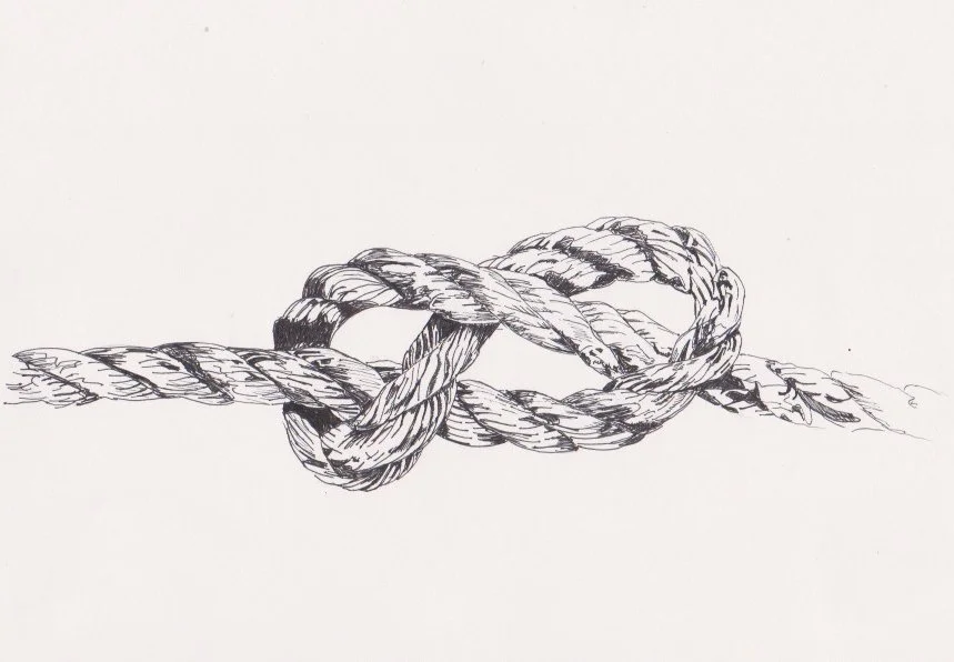 Figure of eight knot.jpg