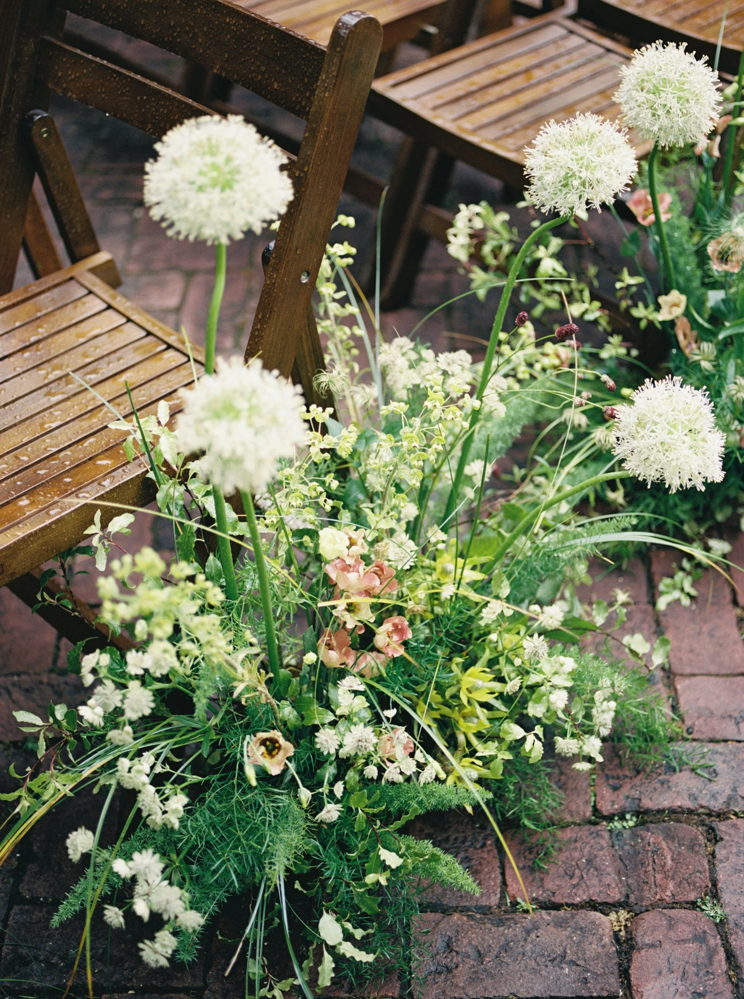 FlaviaandPeter_Ceremony_MichelaWatsonPhotography-29.jpg