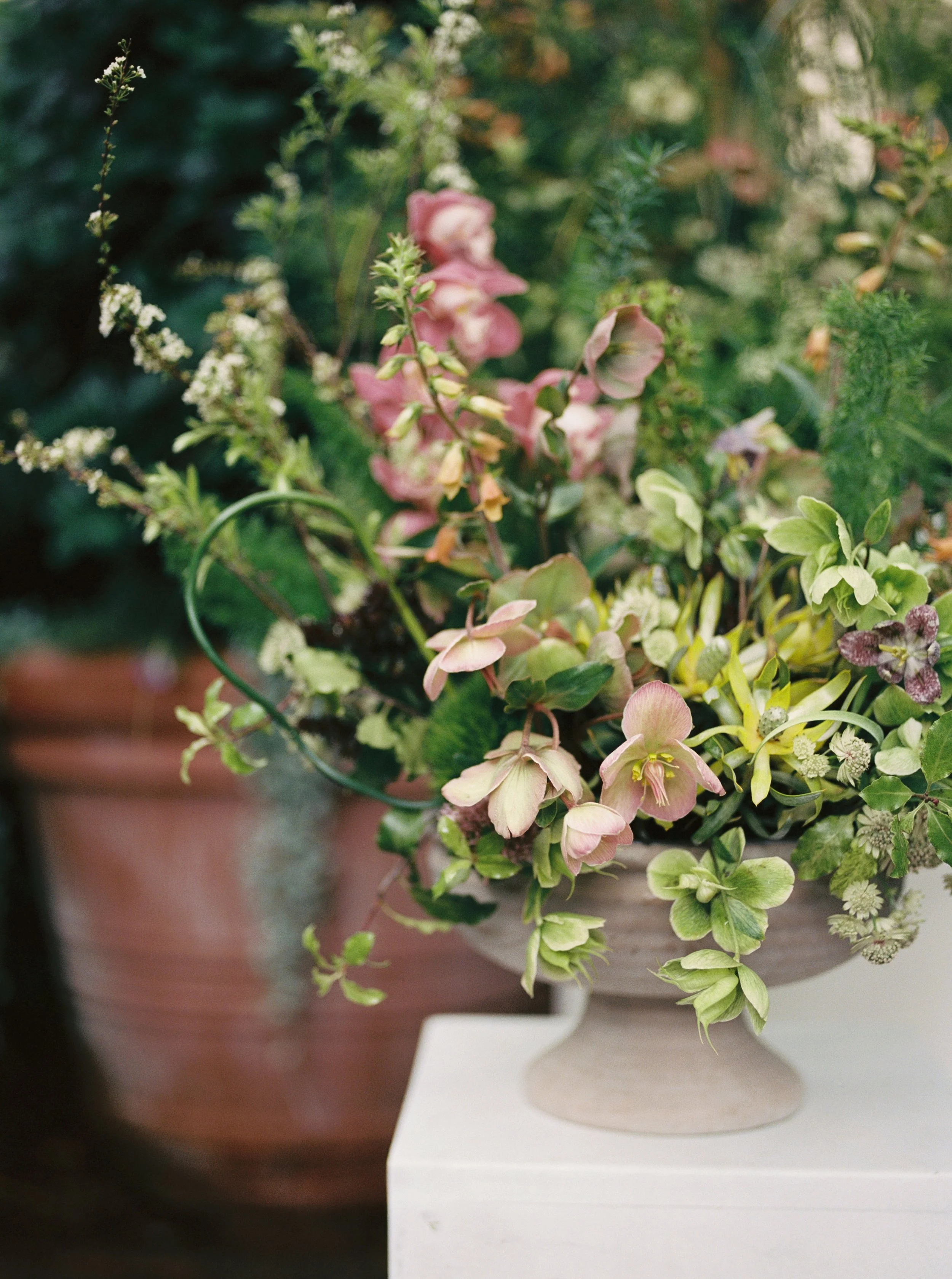 FlaviaandPeter_Ceremony_MichelaWatsonPhotography-9.jpg