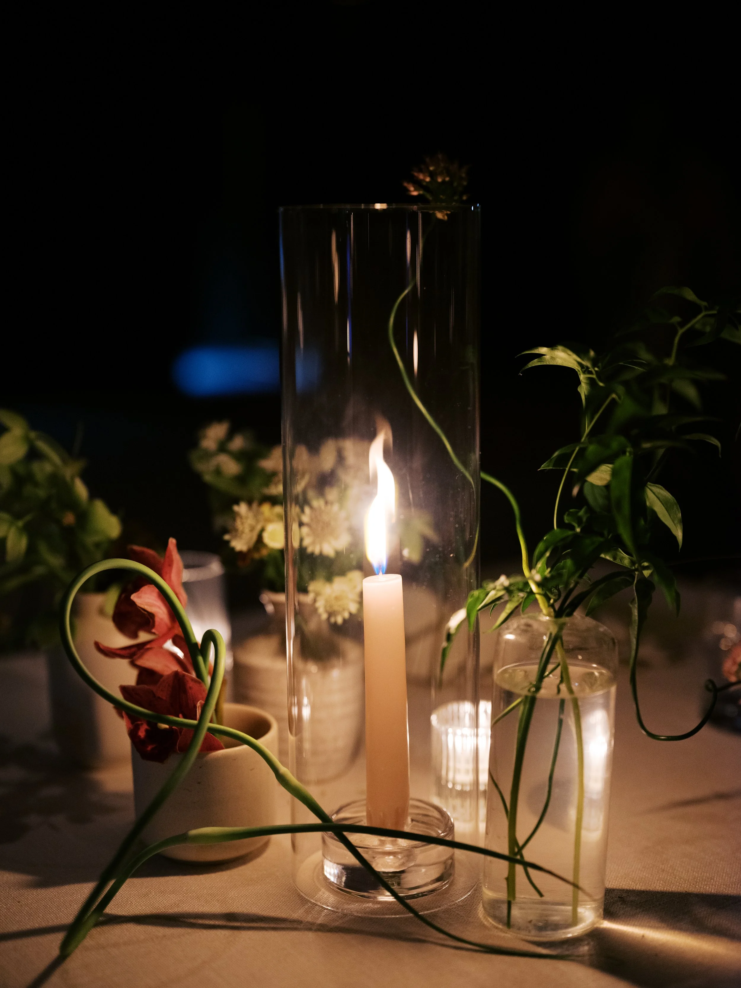 FlaviaandPeter_Reception_MichelaWatsonPhotography-215.jpg