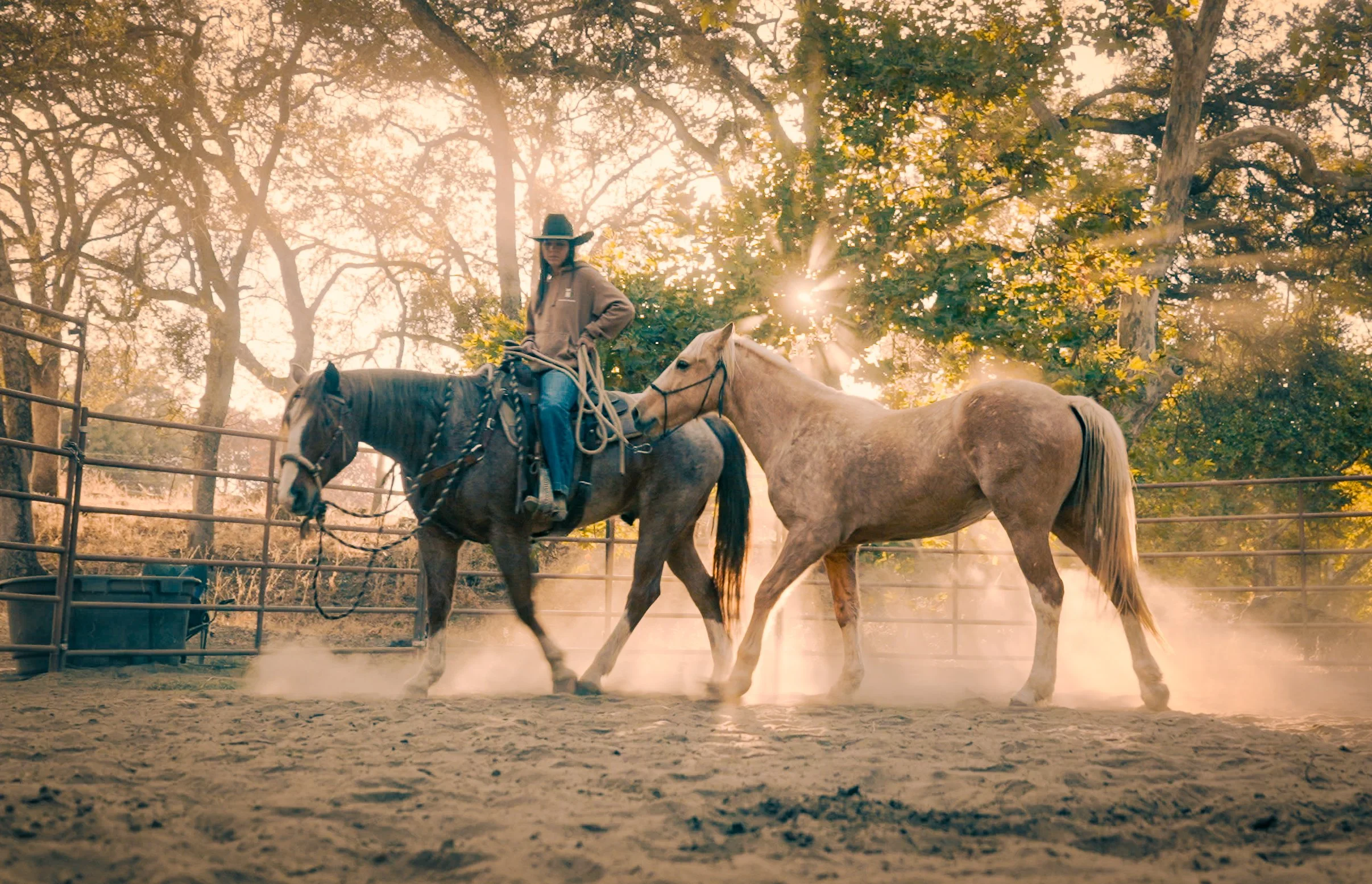 Mustang Gentling Clinic Participant (1 day)